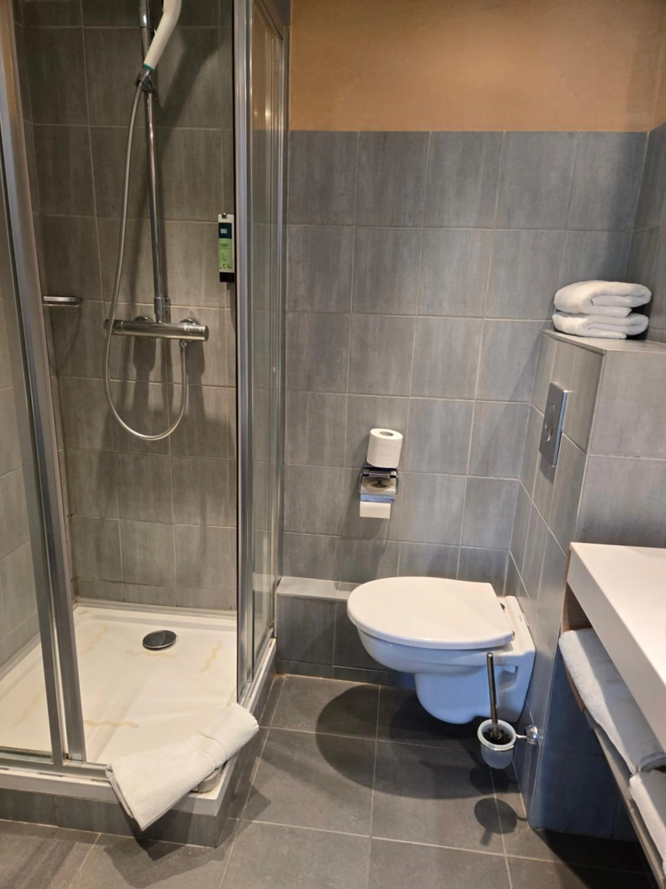 Toilet in Logis Hotel la Ferme