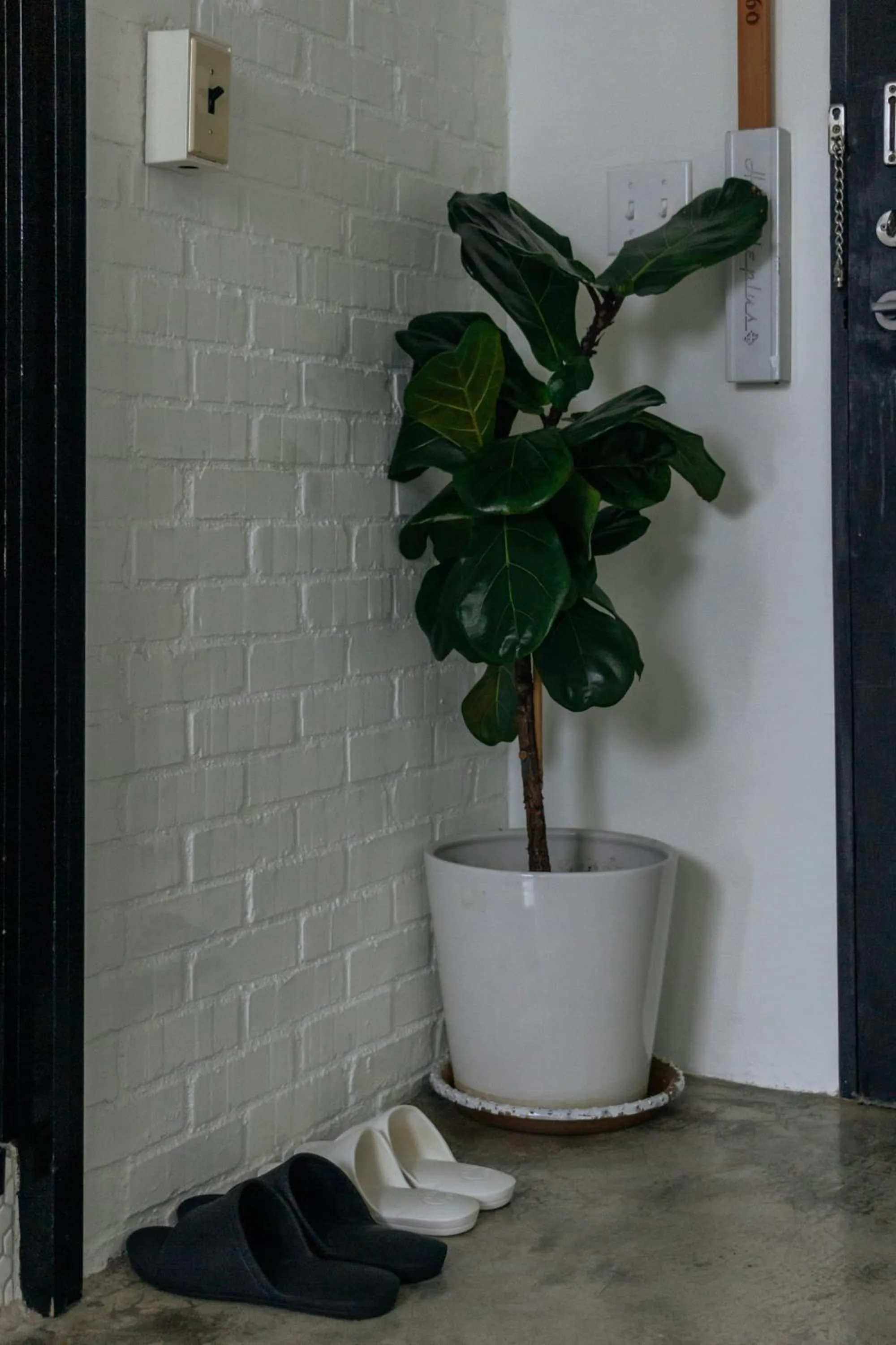 Other in Ocean Day By Day