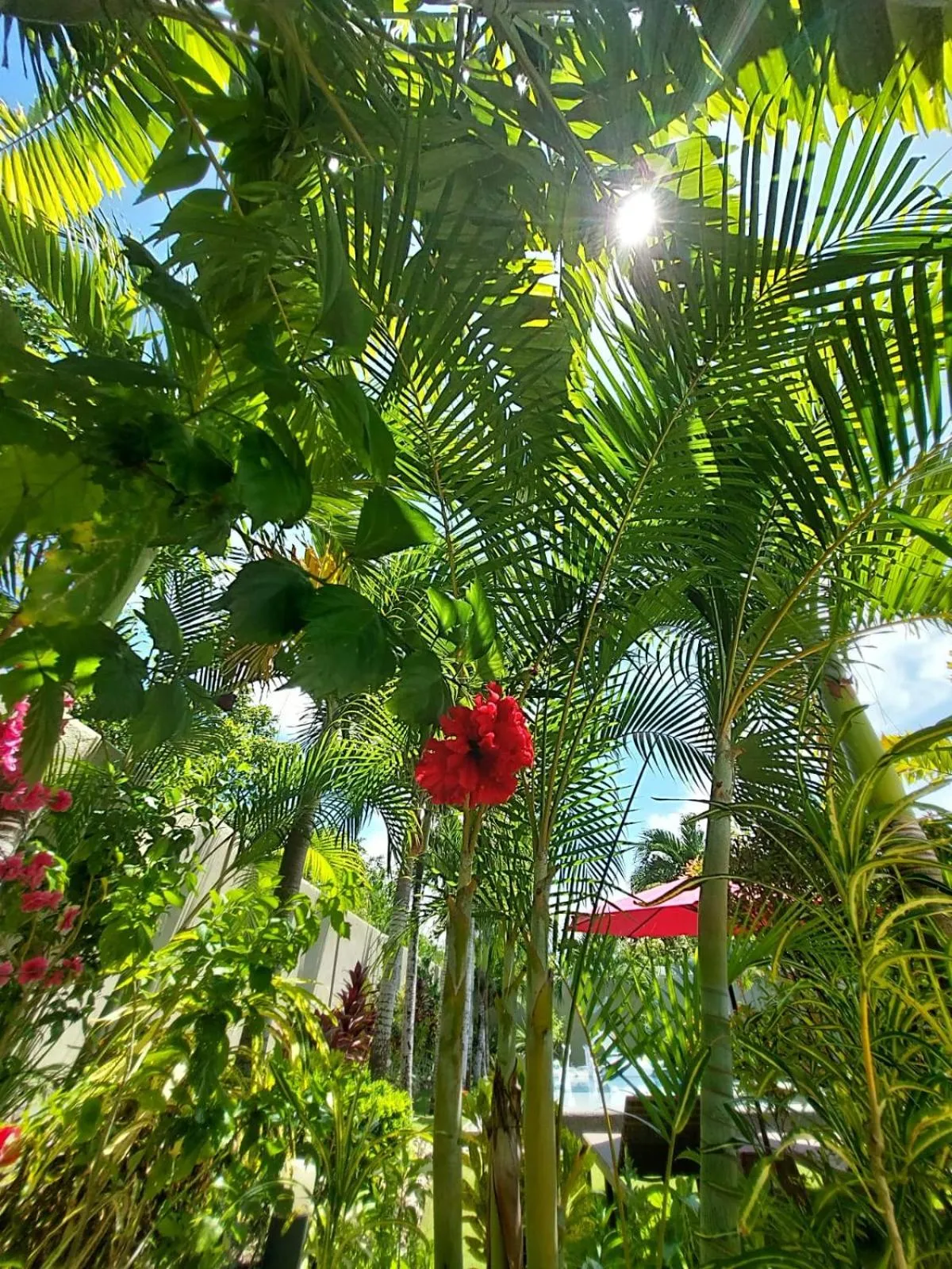 Halamanan Residences