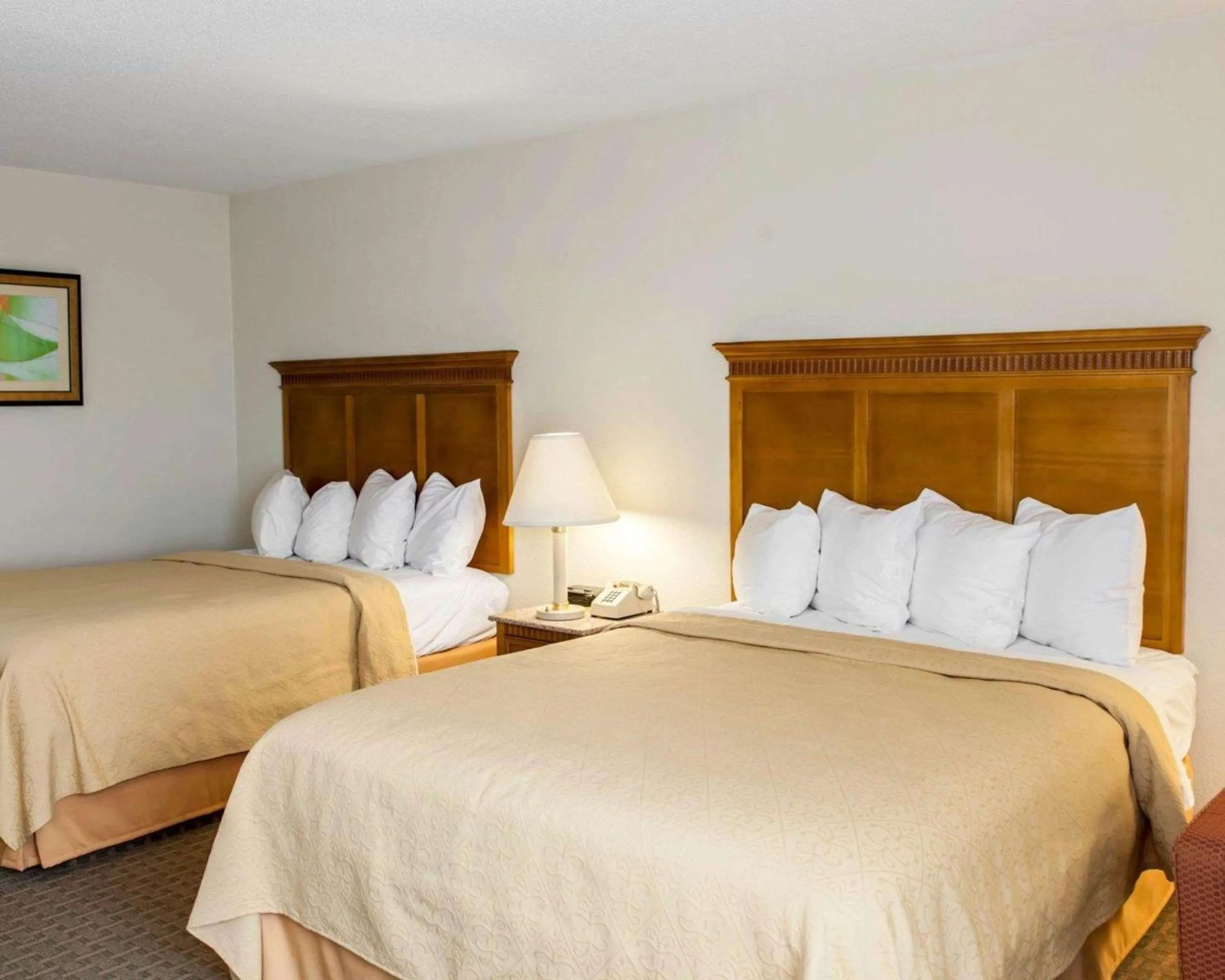 Photo of the whole room in Quality Inn & Suites Indianapolis Northwest