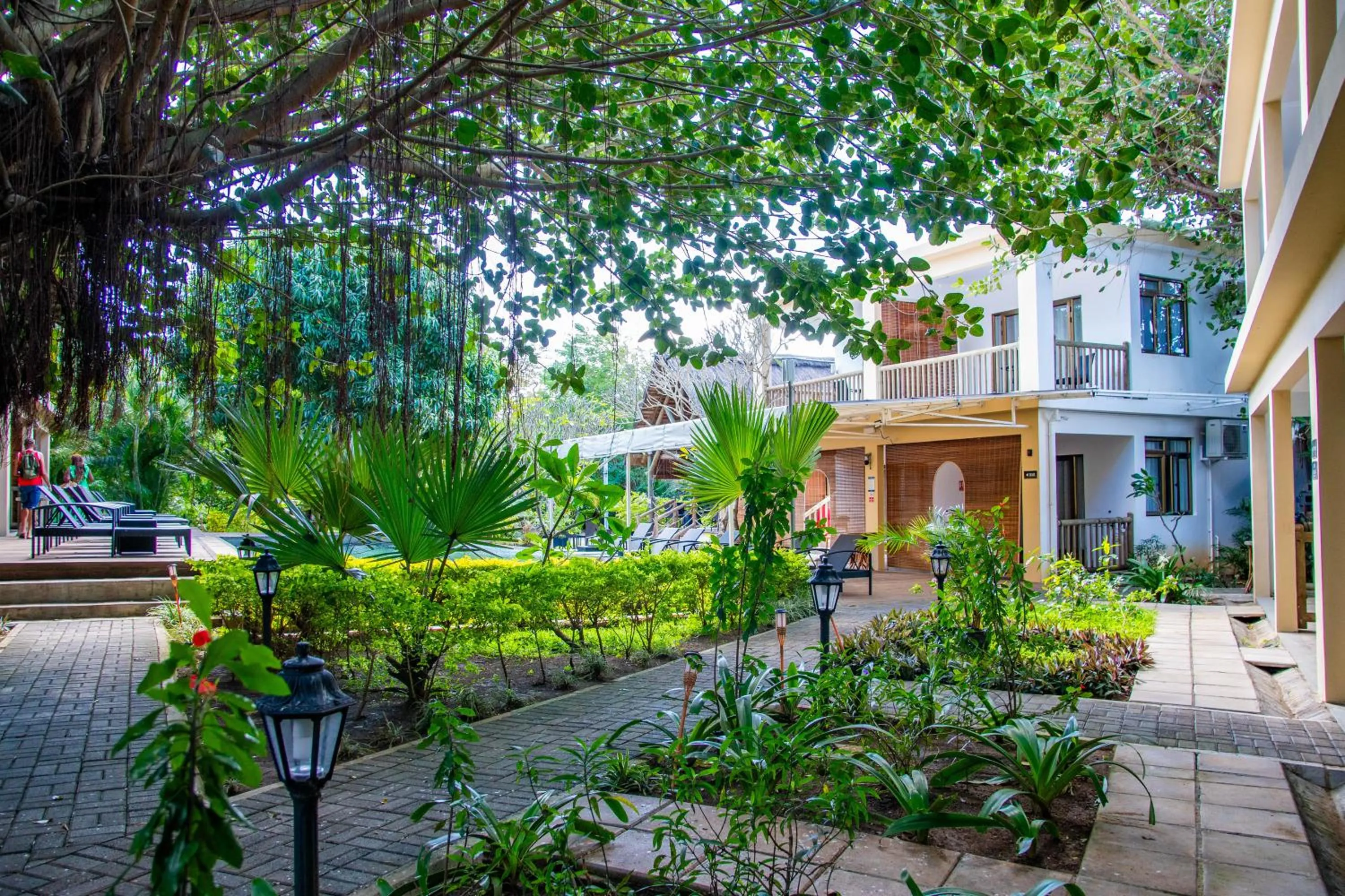 Facade/entrance in The Garden Lodge Pereybere - Piscine & Jardin