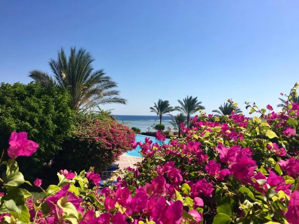 TUI MAGIC LIFE Kalawy