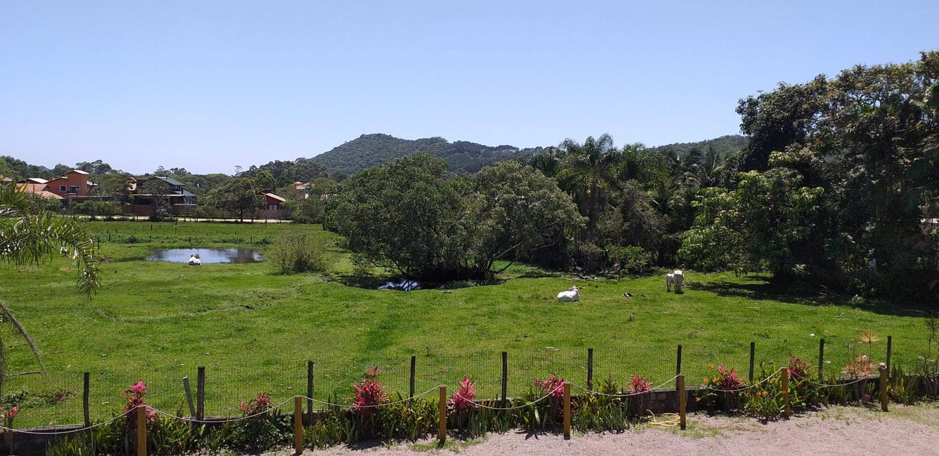 Day in Pousada Gauleses