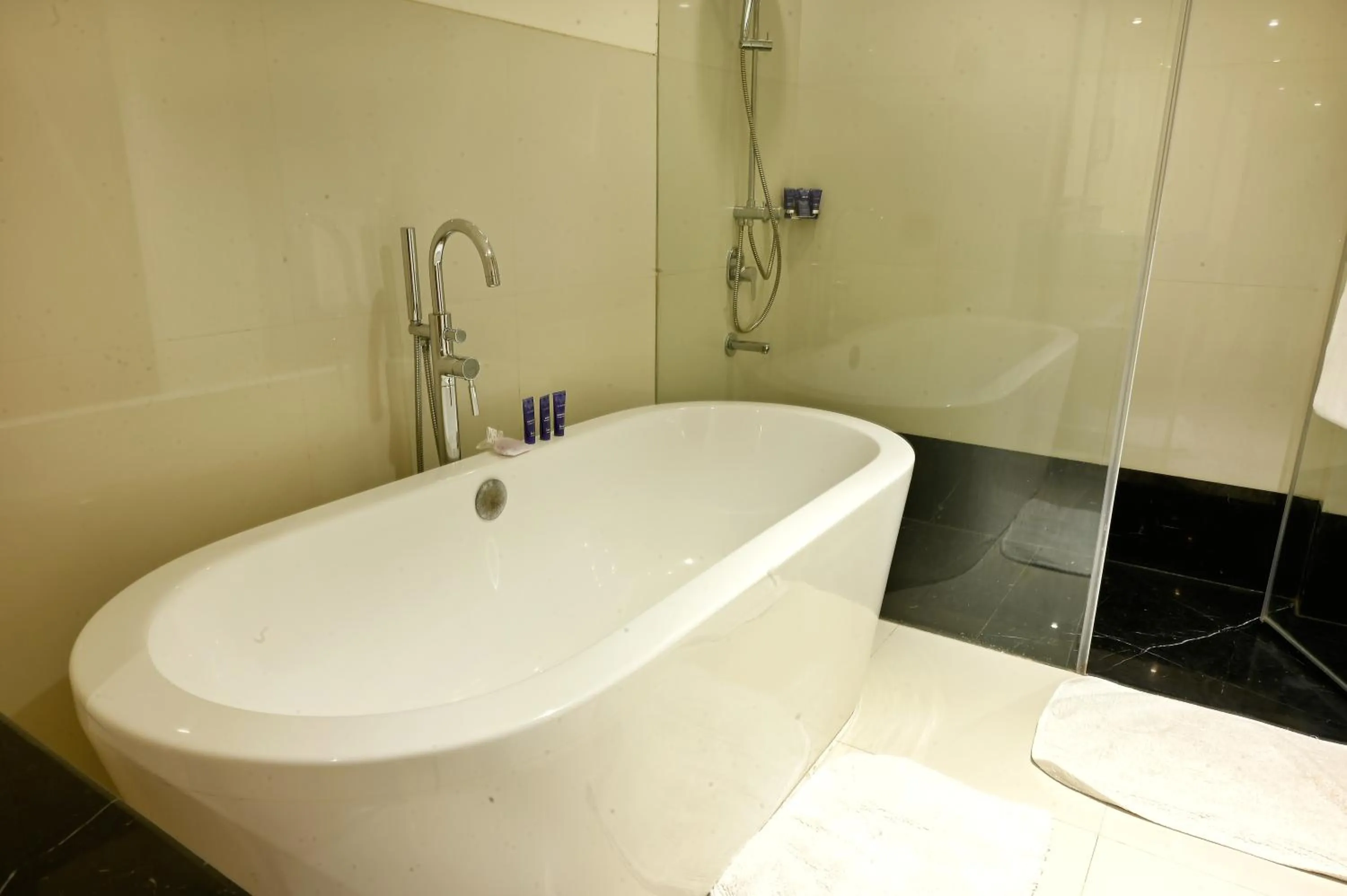 Bath in Vivanta Kolkata EM Bypass