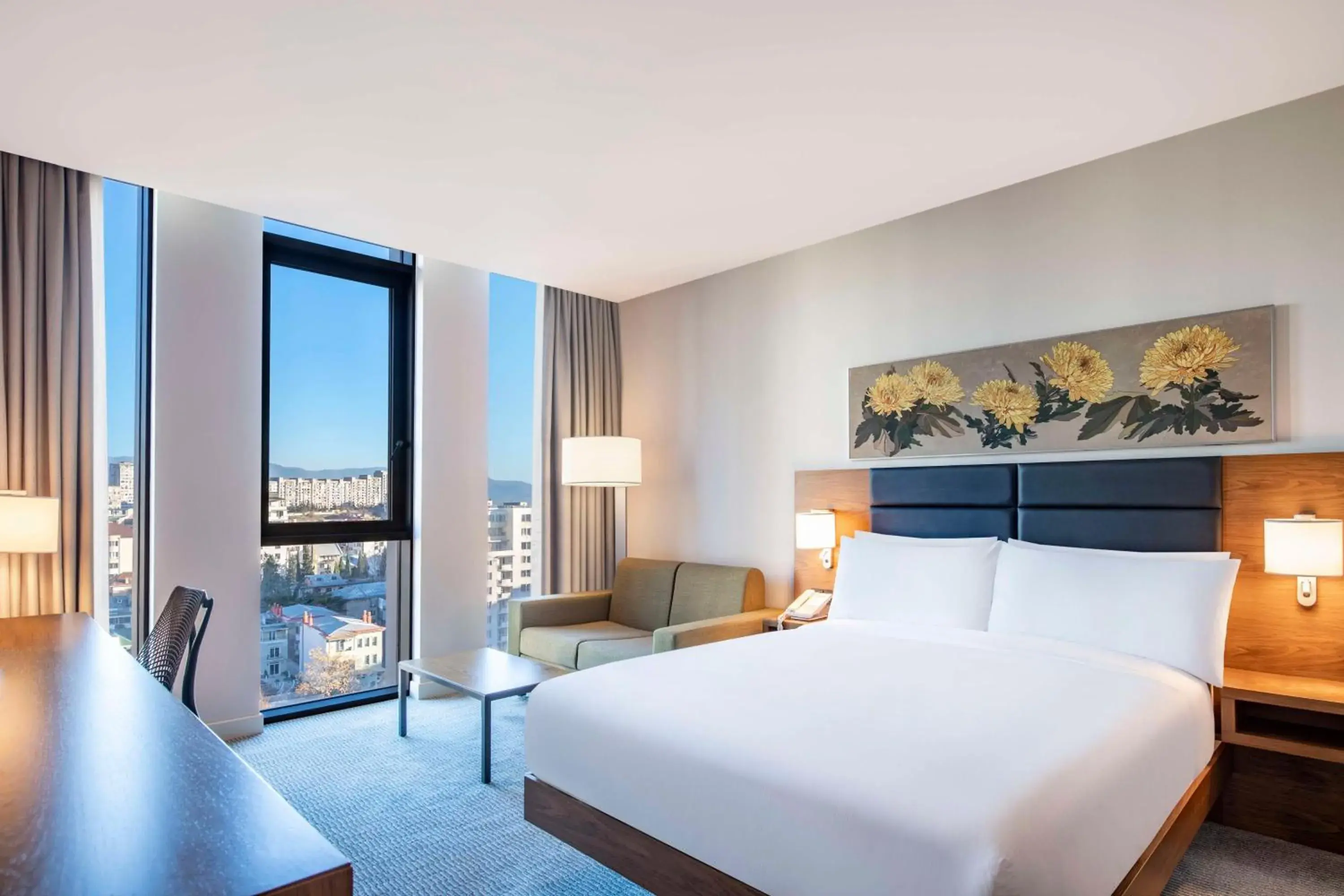 Queen Room with Sofa in Hilton Garden Inn Tbilisi Chavchavadze Queen Room with Sofa in Hilton Garden Inn Tbilisi Chavchavadze