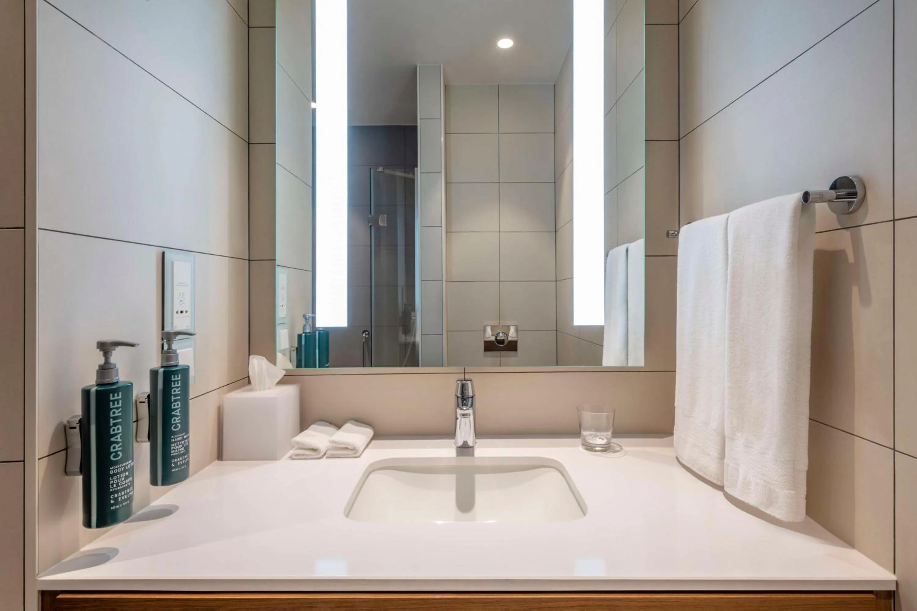 Bathroom in Hilton Garden Inn Tbilisi Chavchavadze