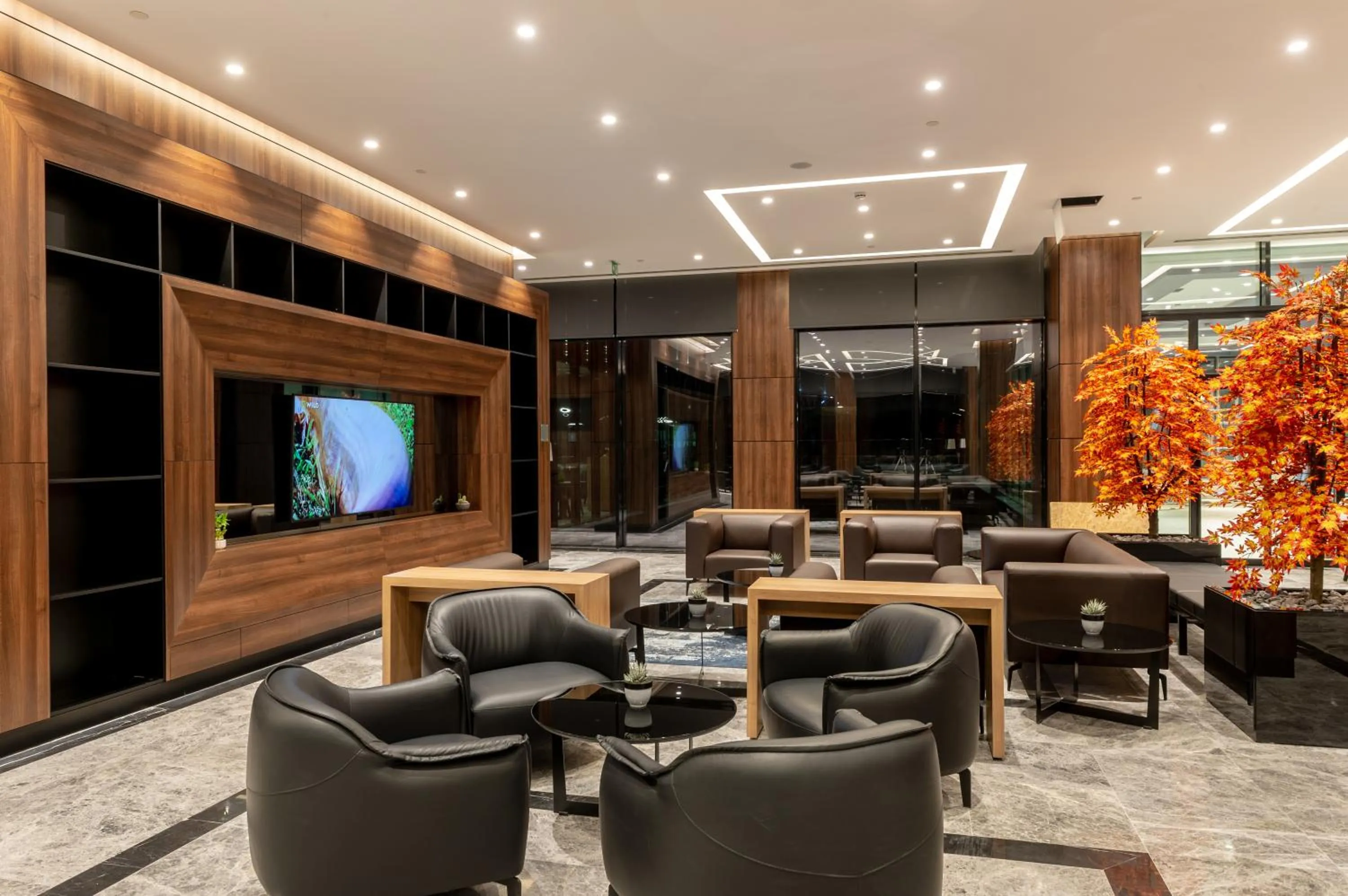 TV and multimedia in Radisson Blu Hotel, Sakarya