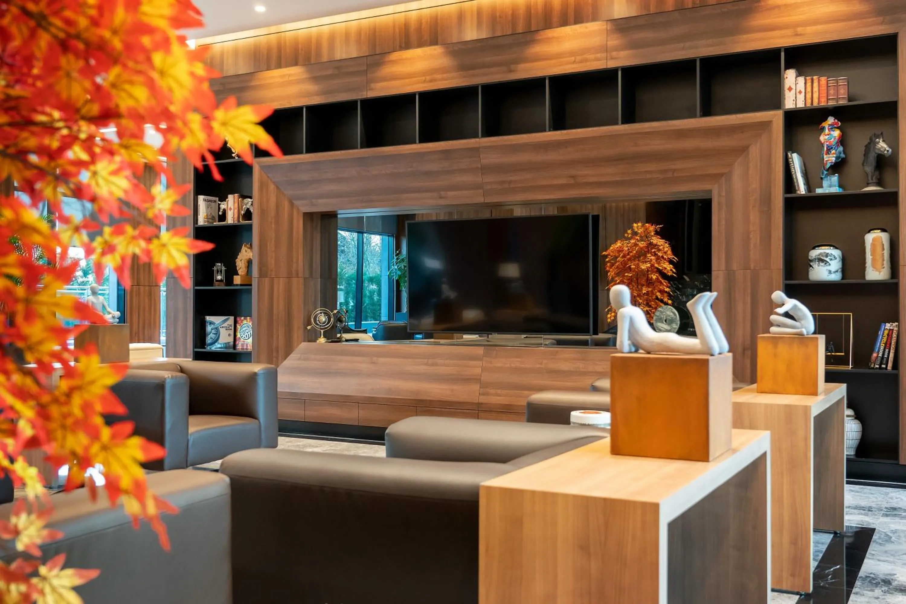 TV and multimedia in Radisson Blu Hotel, Sakarya