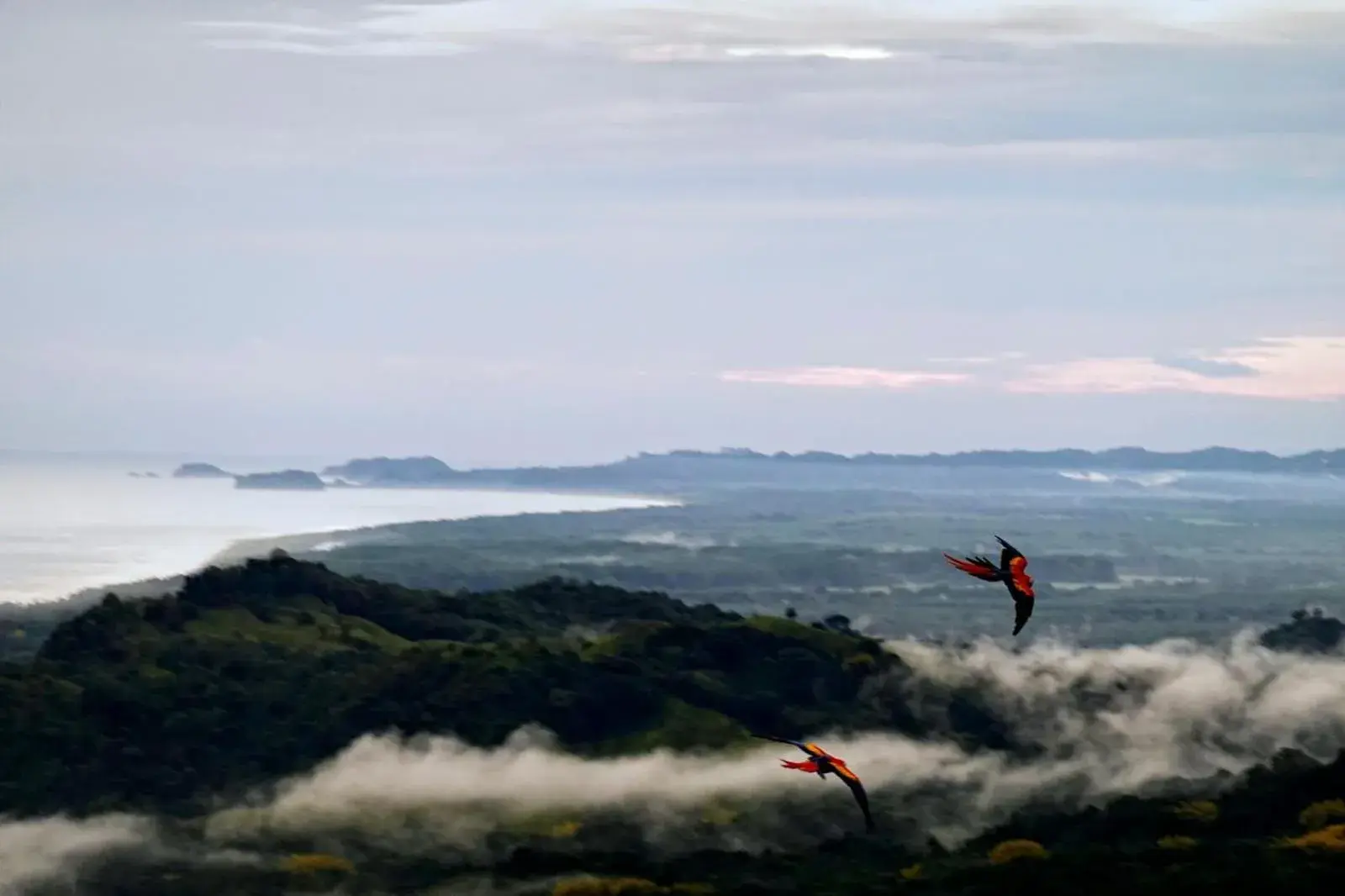 Deluxe Queen Room with Two Queen Beds in Lapazul Boutique Hotel Deluxe Queen Room with Two Queen Beds in Lapazul Boutique Hotel
