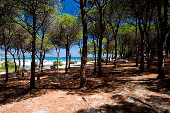 Natural landscape in Appartamenti Tanaunella