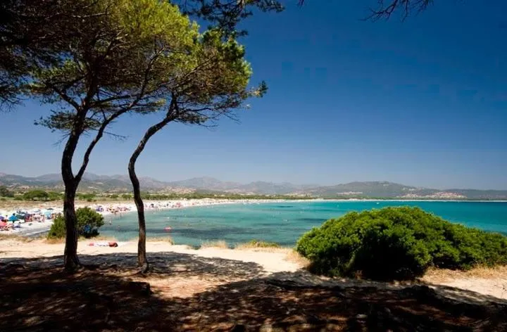 Beach in Appartamenti Tanaunella