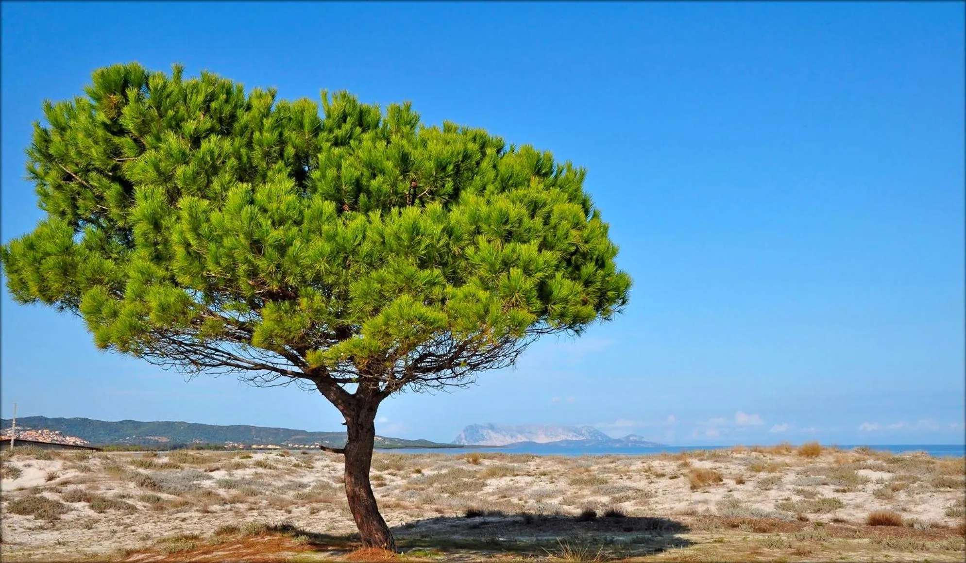 Natural landscape in Appartamenti Le Magnolie