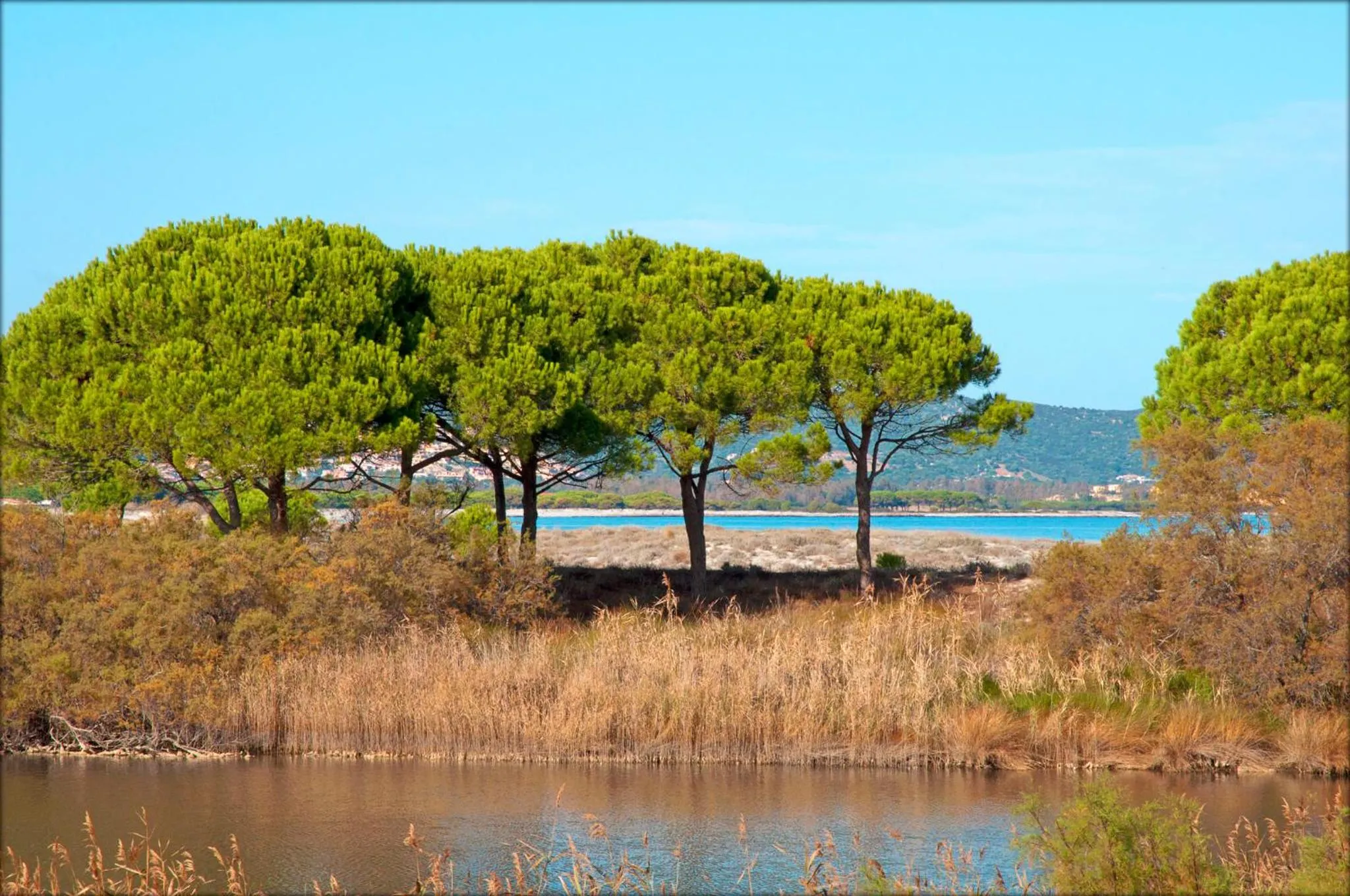 Nearby landmark in Appartamenti Le Magnolie