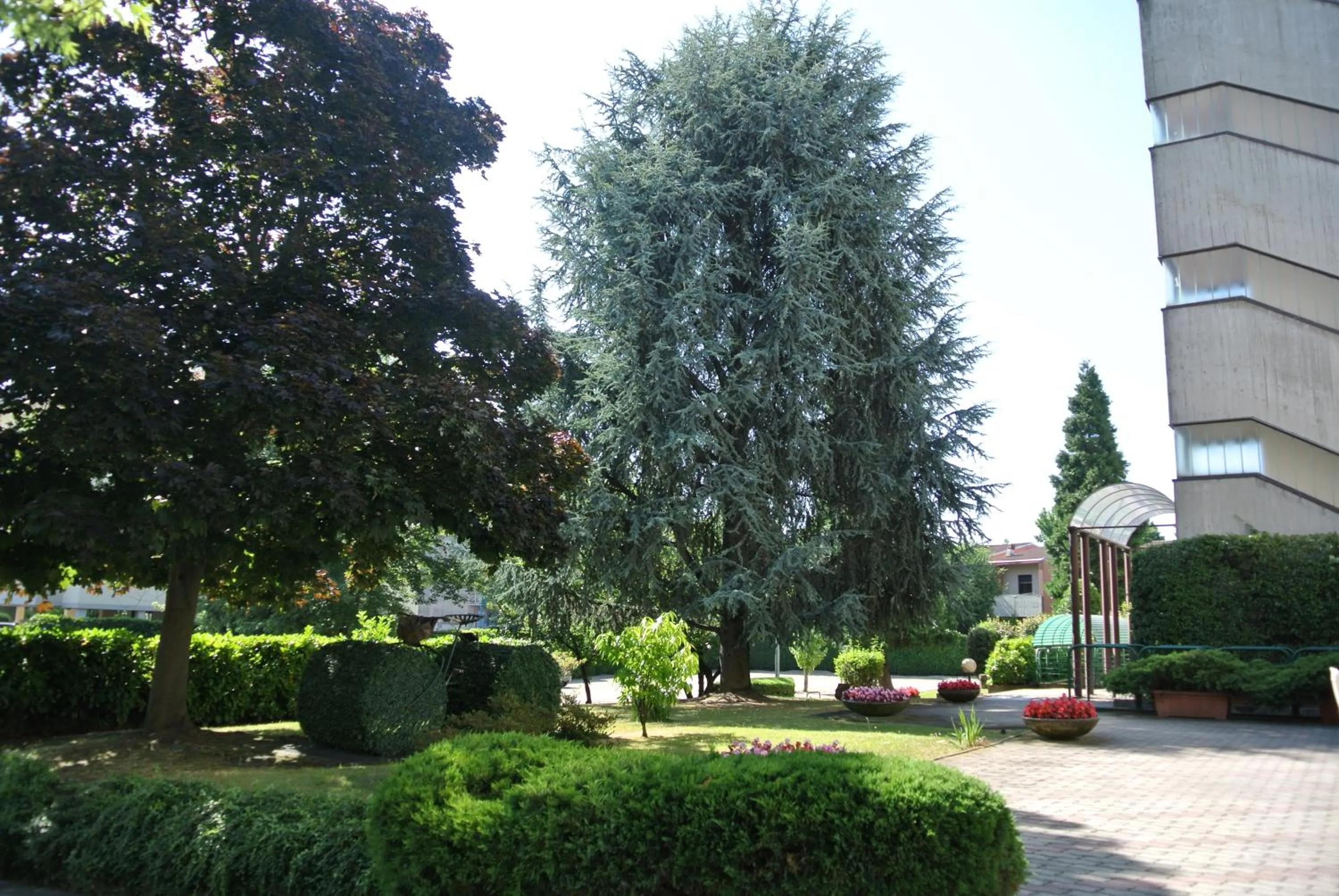 Garden in Modo Hotel