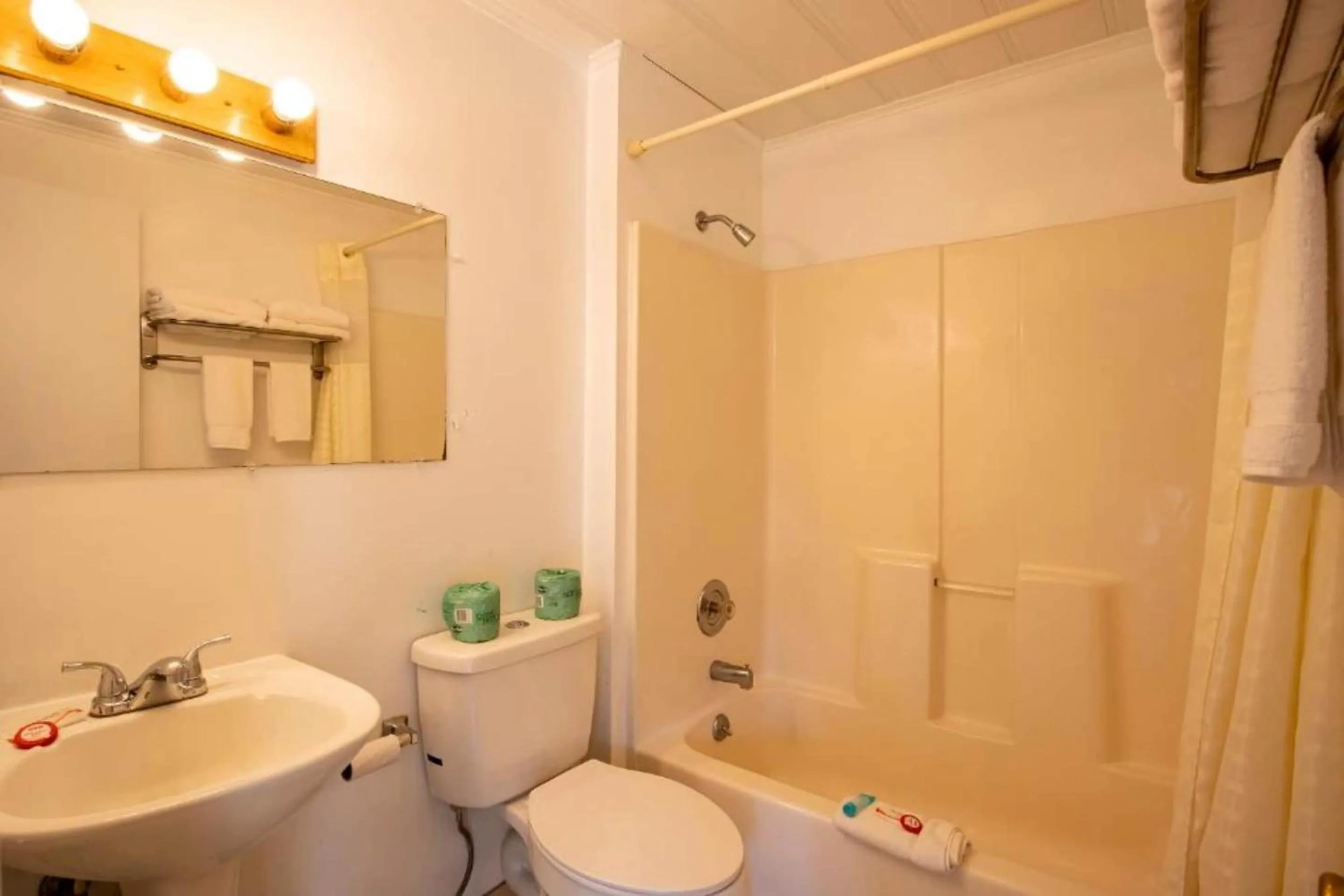 Bathroom in Lloyd's On The River Country Inn By Oyo