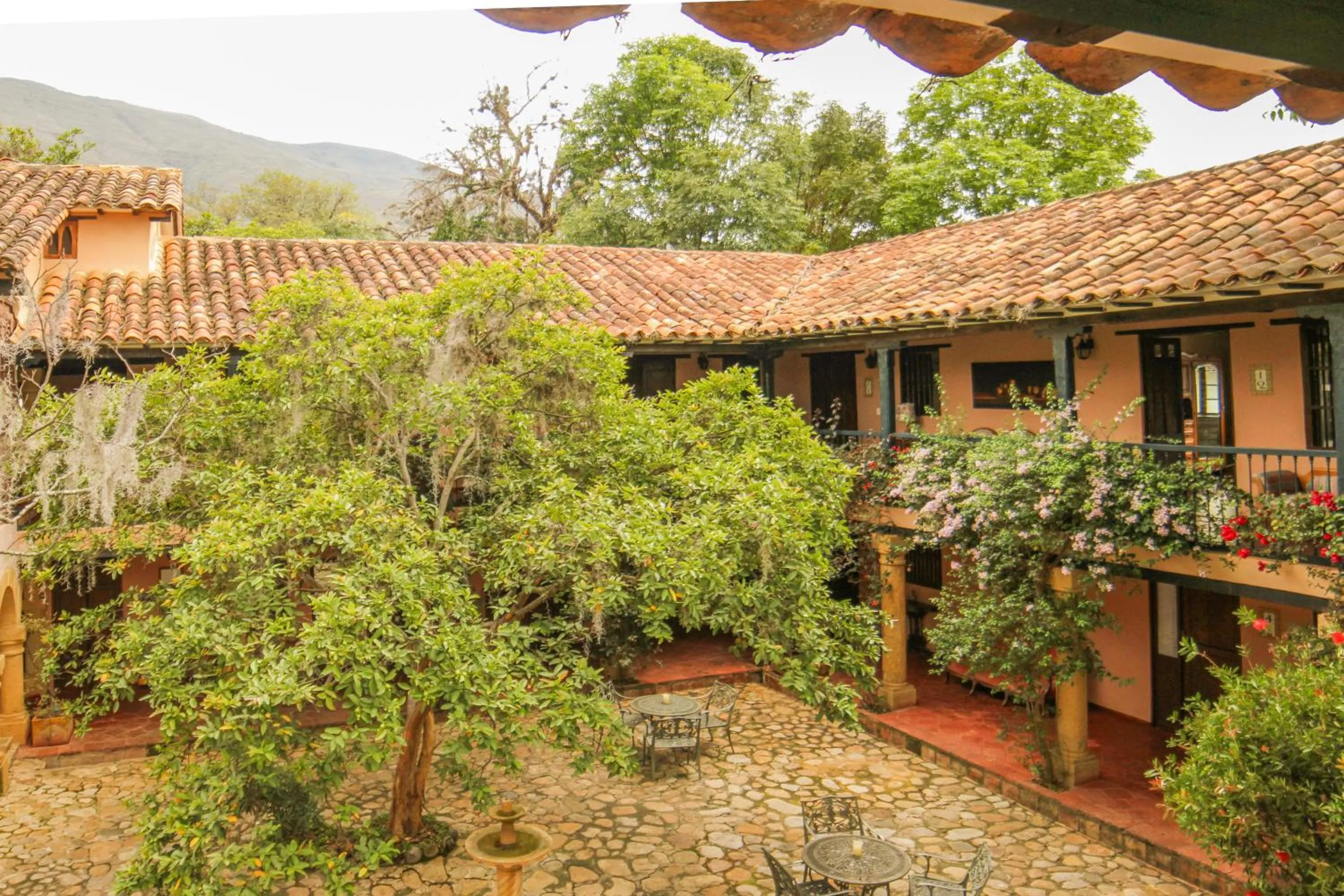 Garden in Hotel Plazuela de San Agustín - PSA Hotel