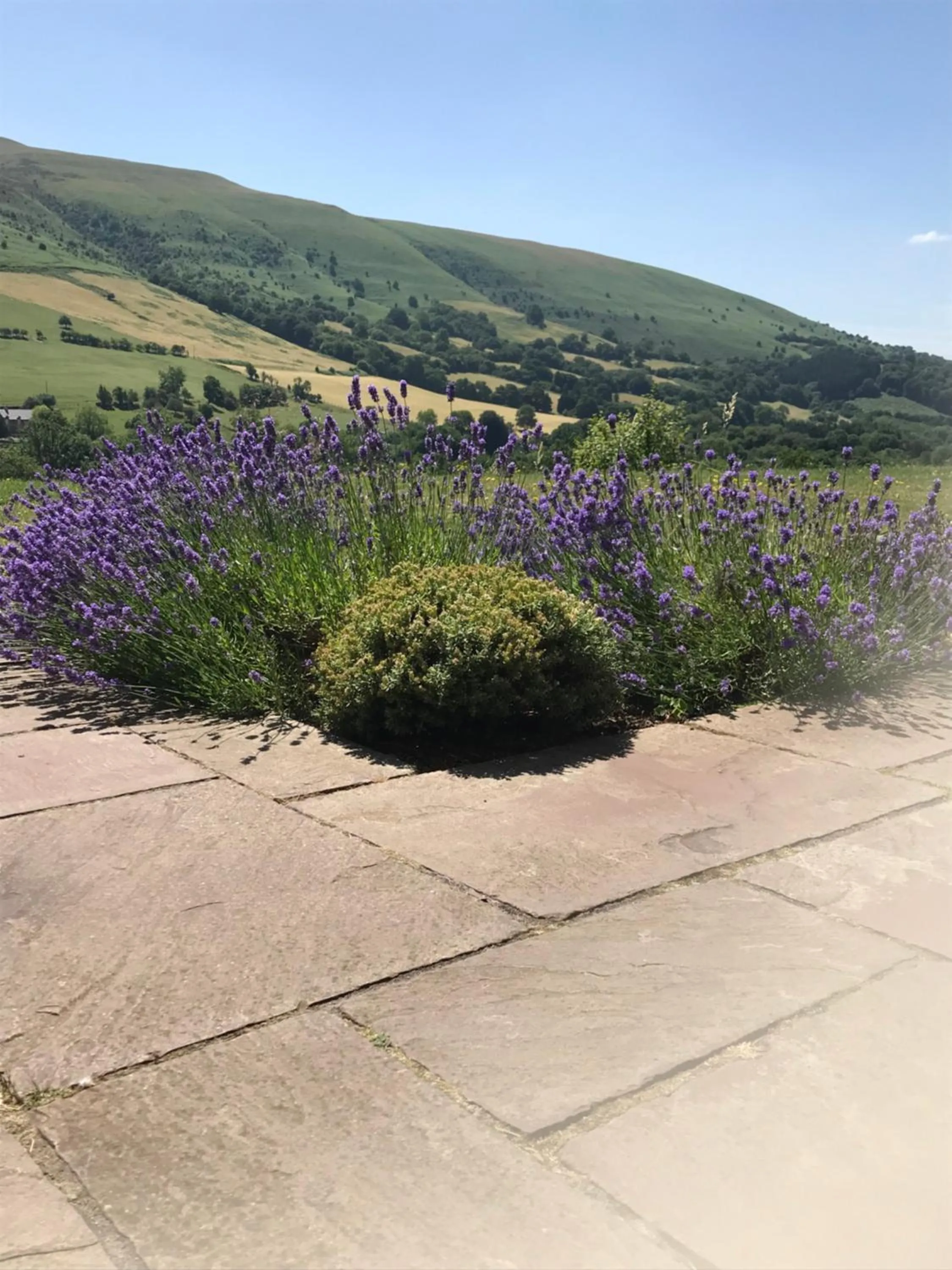 Natural landscape in The Celyn