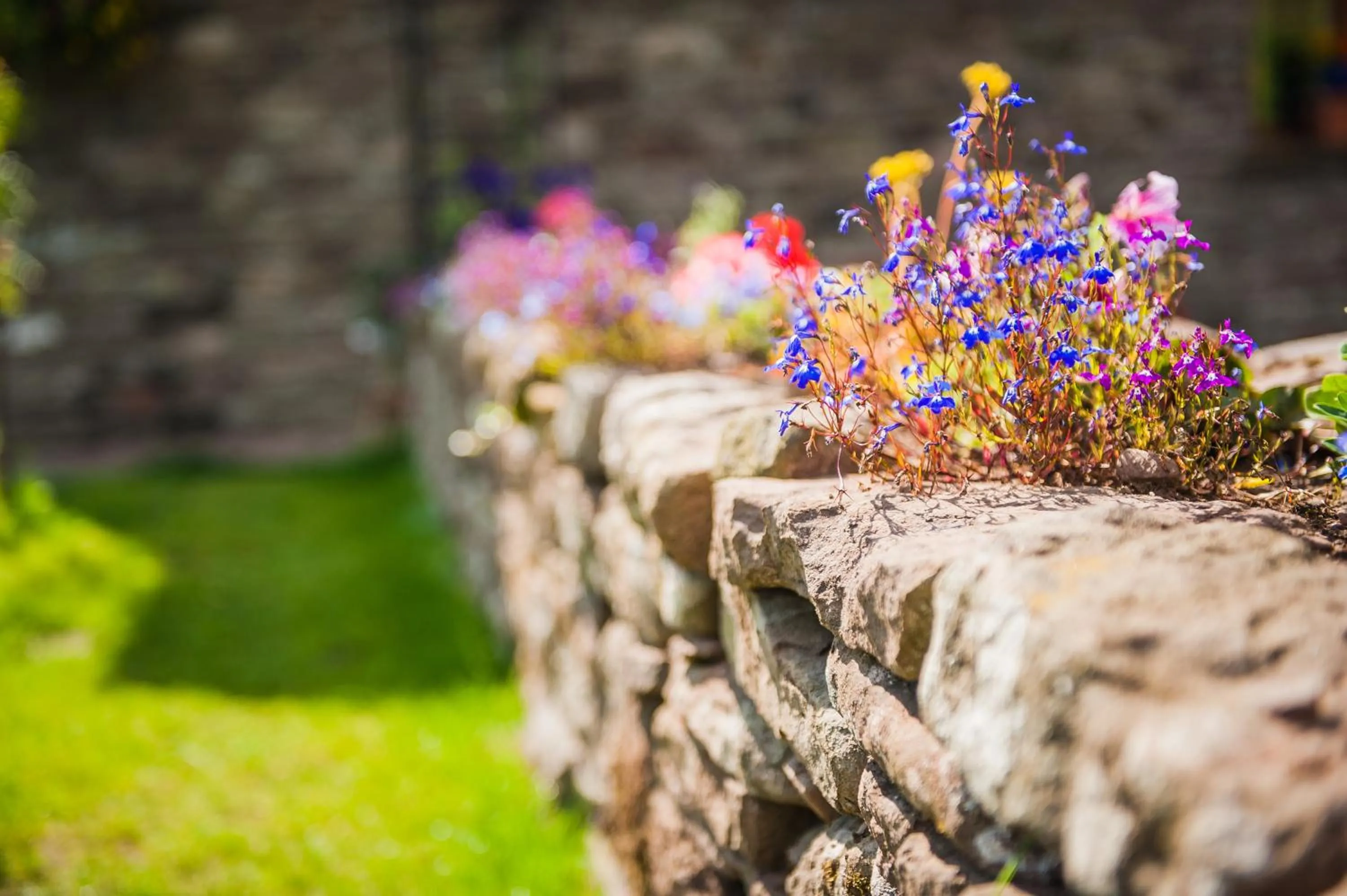 Area and facilities in The Celyn