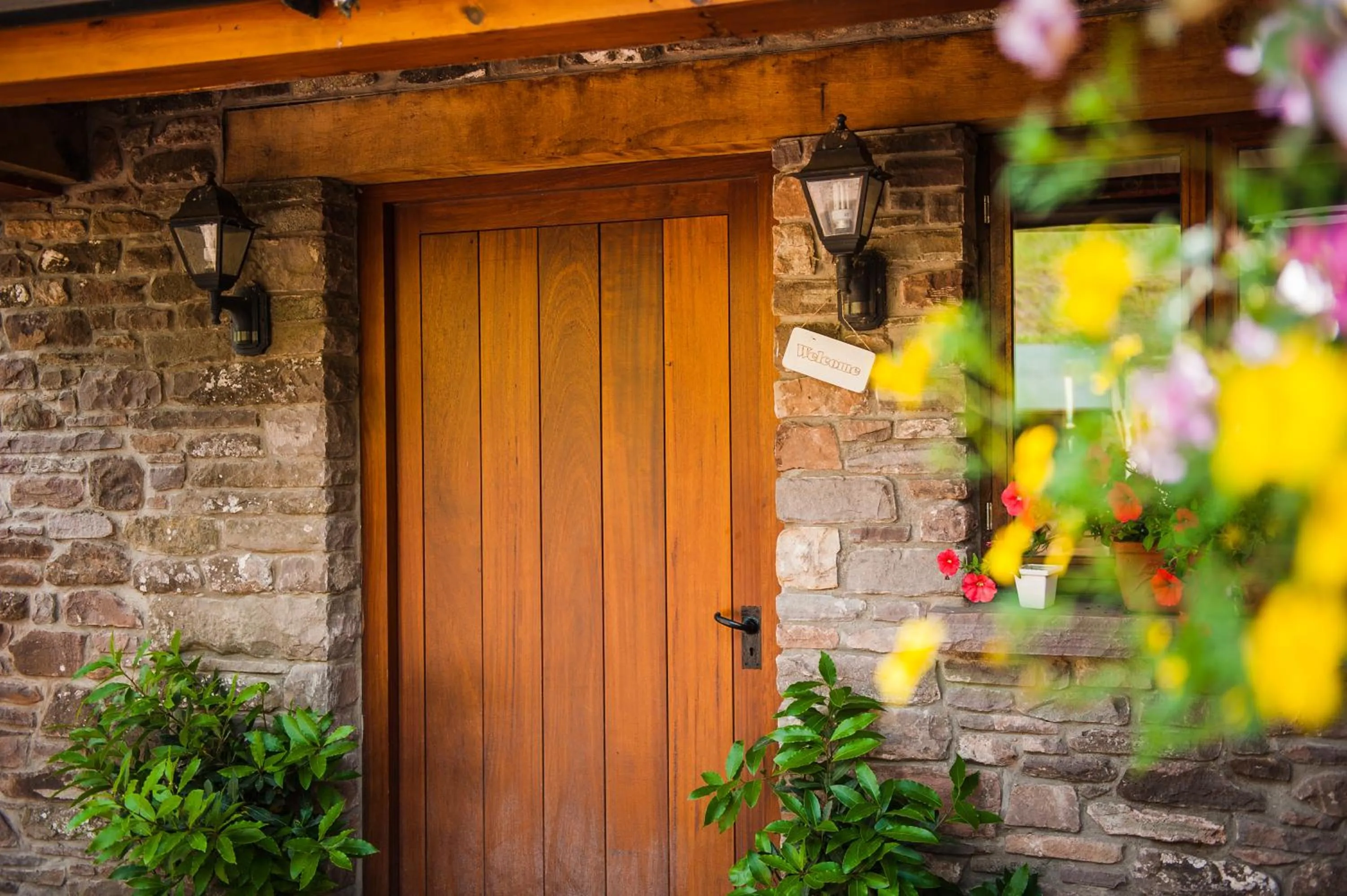 Facade/entrance in The Celyn