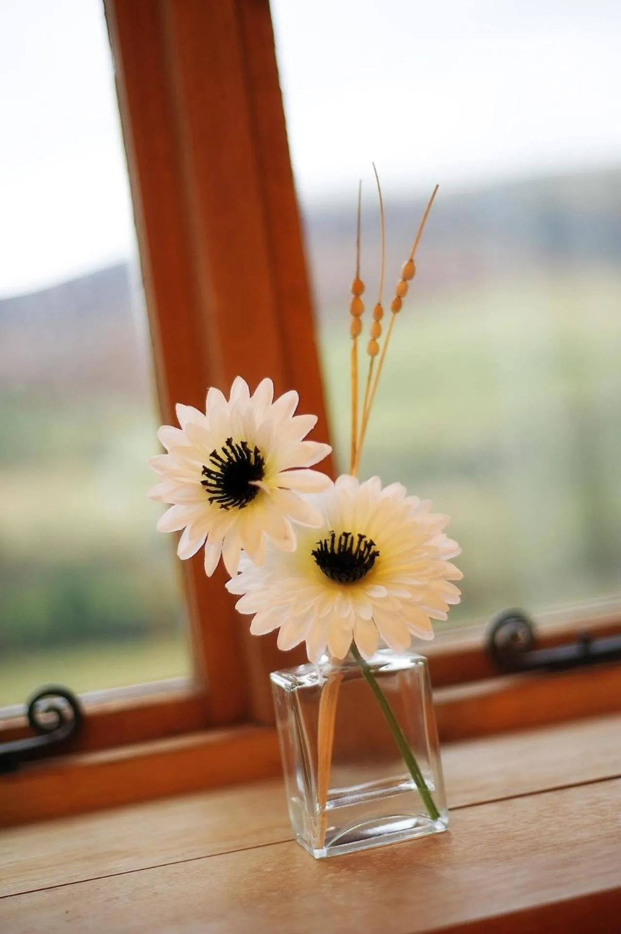 View (from property/room) in The Celyn