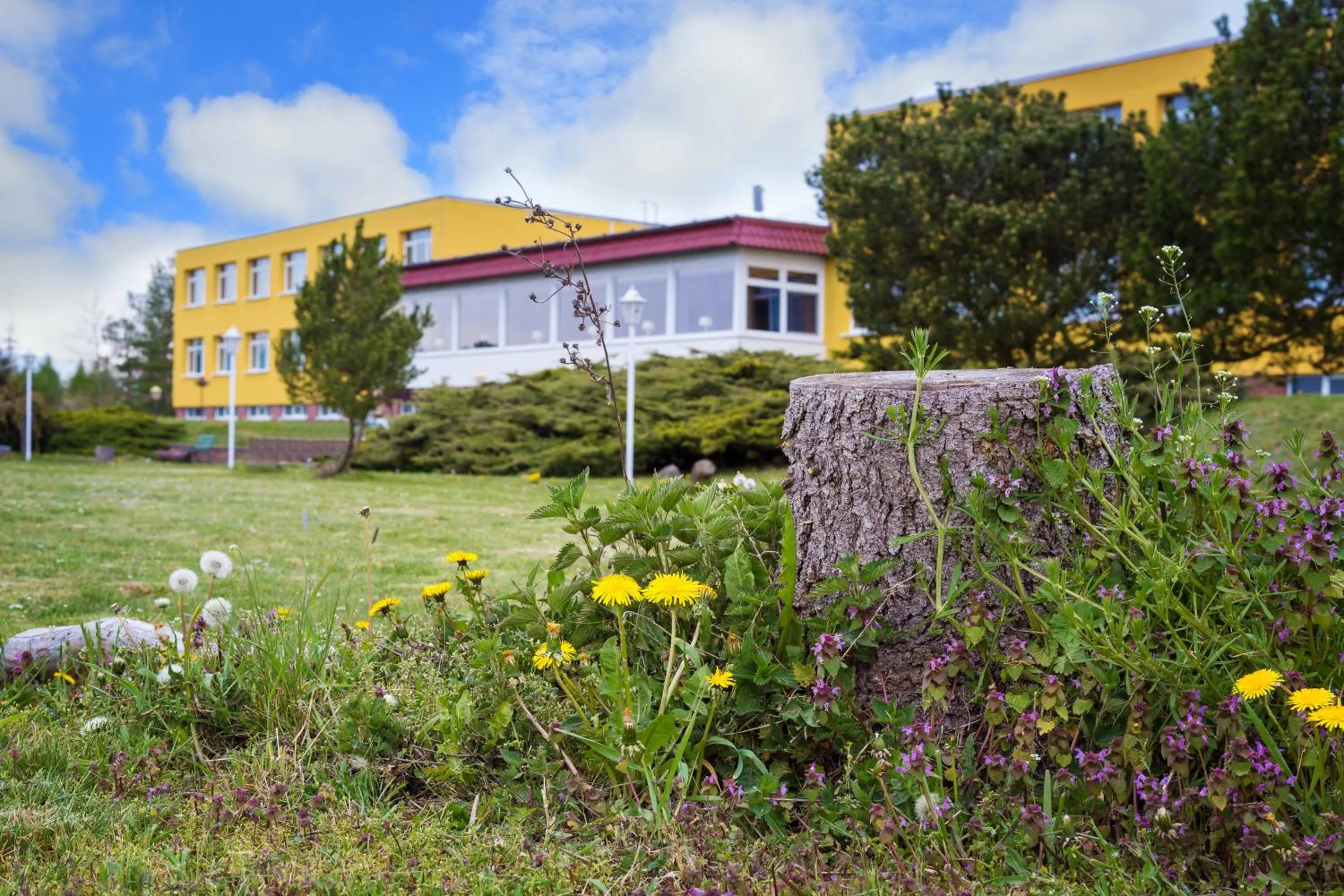 Property building in Panorama Ferien Hotel Harz