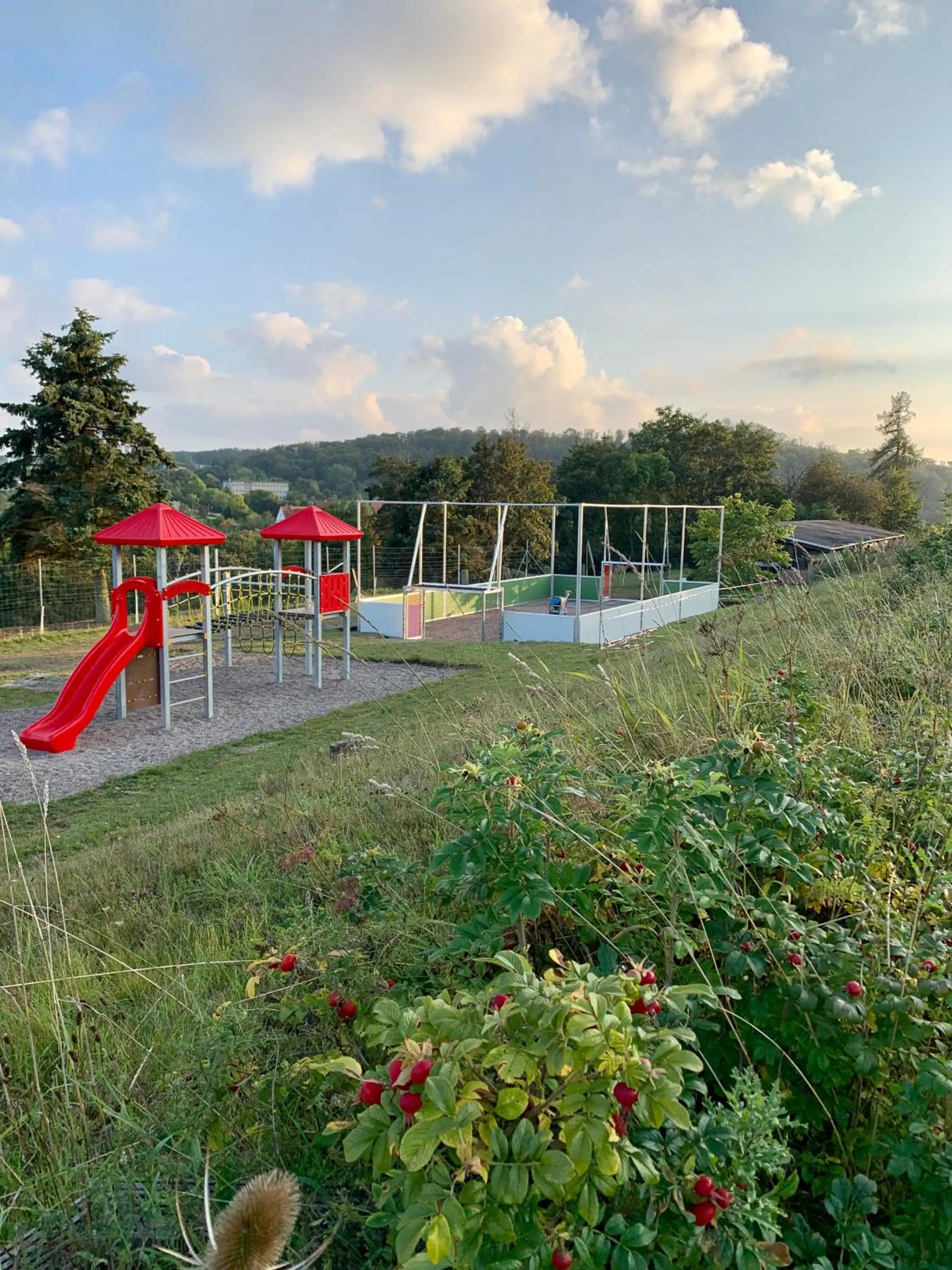 Children play ground in Panorama Ferien Hotel Harz