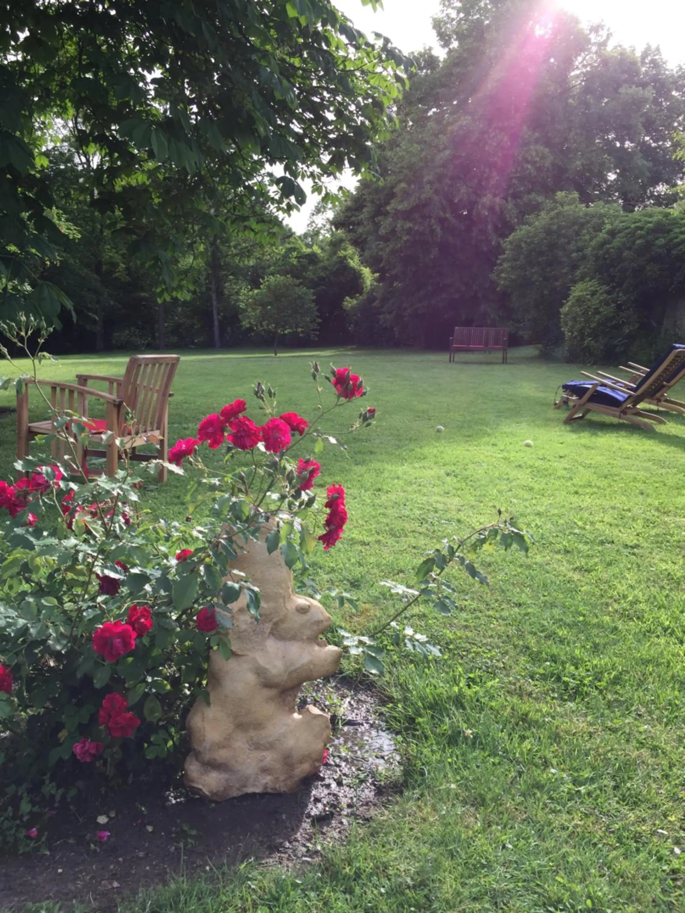 Garden in Hotel L'Aunette Cottage