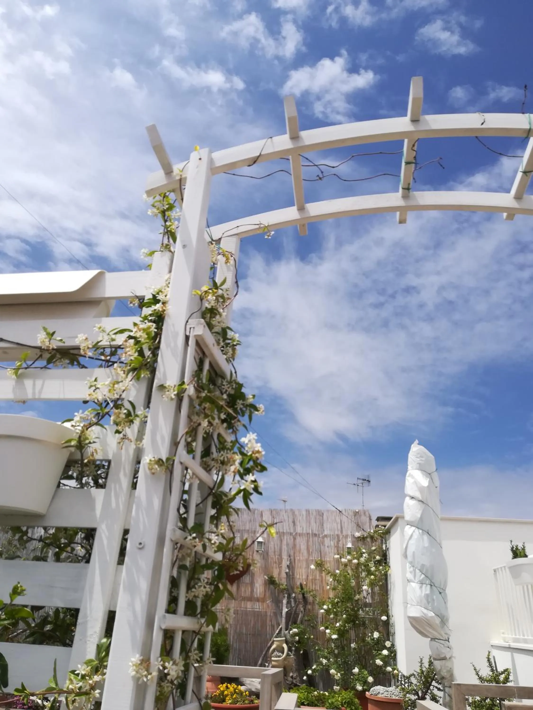 Patio in MandorleOlio