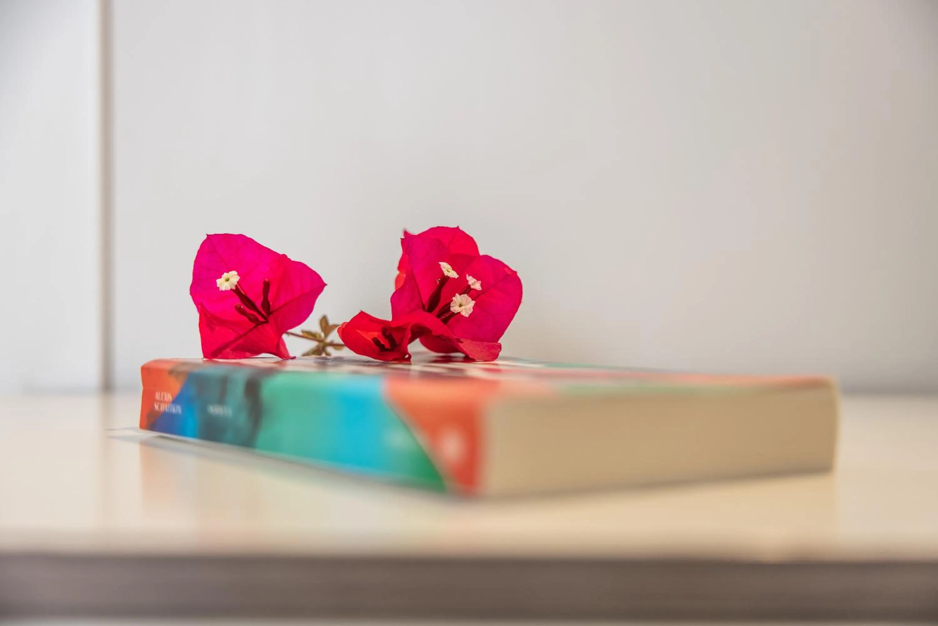 Decorative detail in MandorleOlio