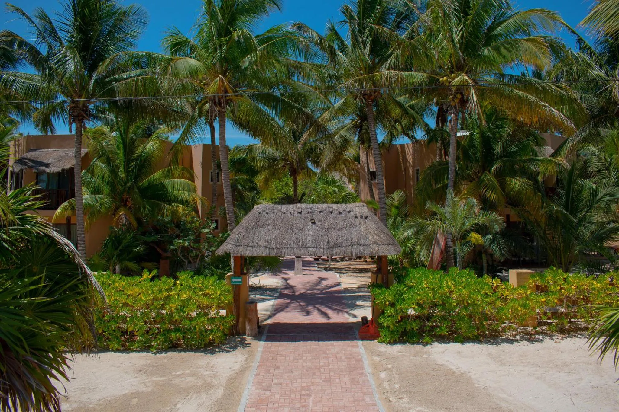 Natural landscape in Tecnohotel Beach