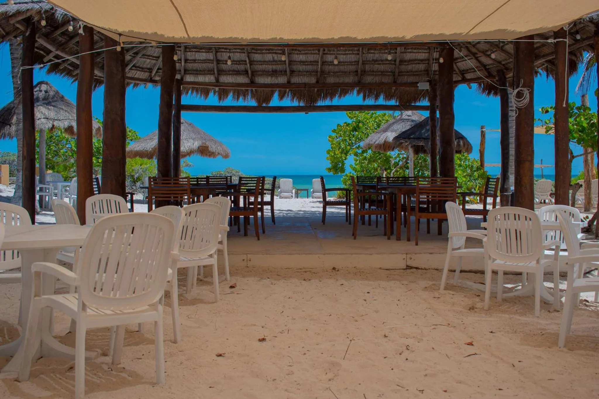 Restaurant/places to eat in Tecnohotel Beach