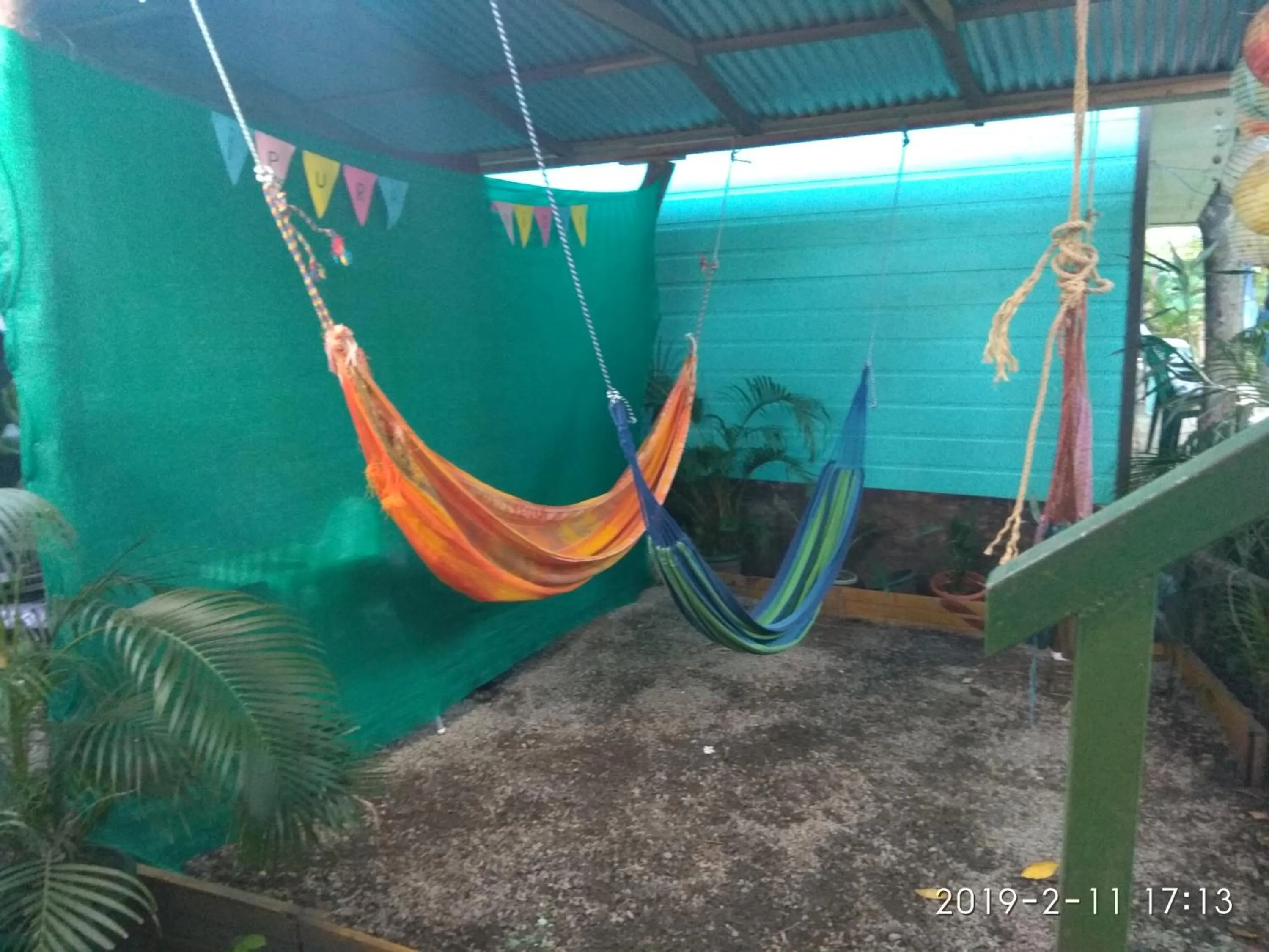 Off site in Cabinas Tortuguero