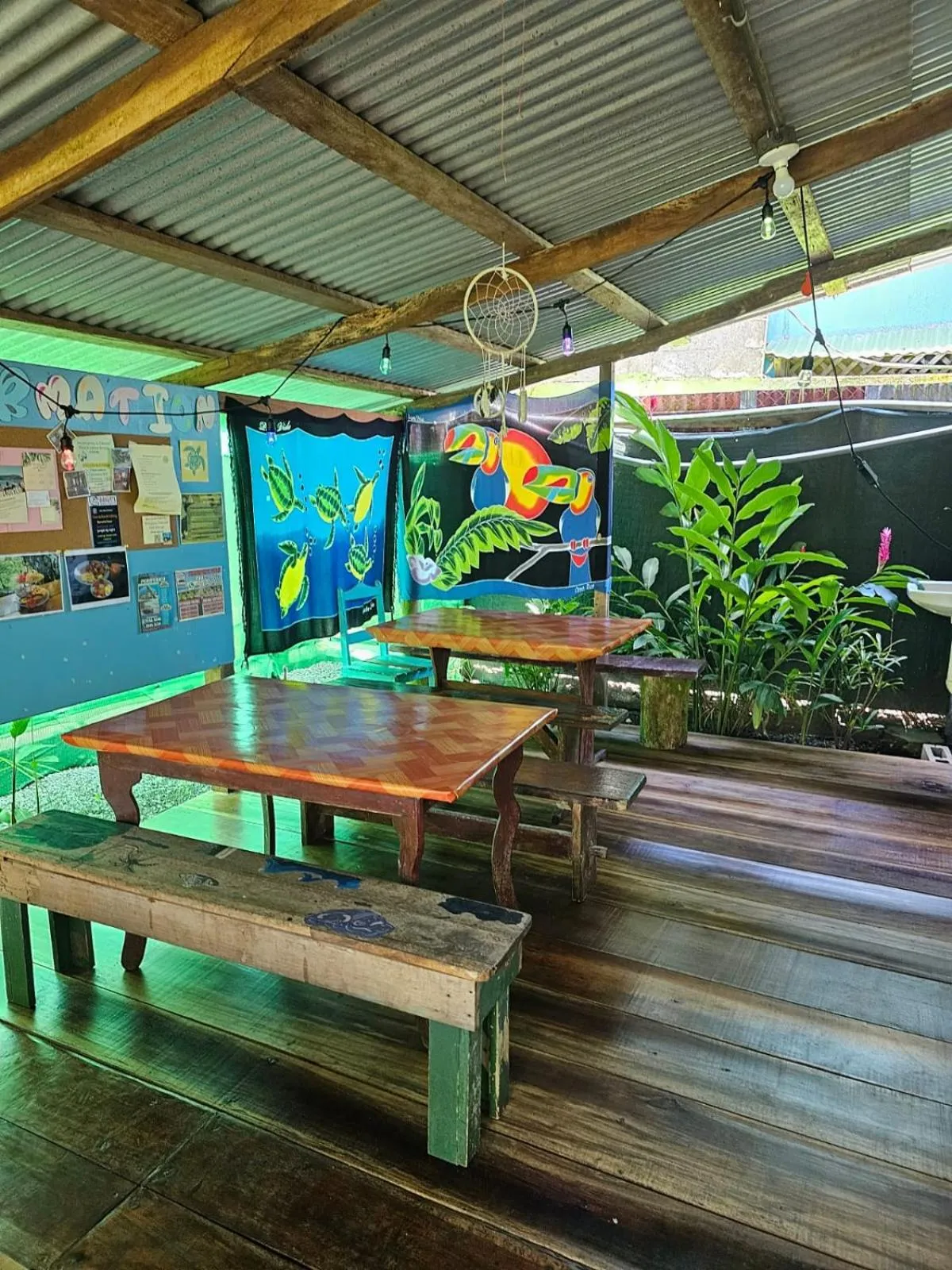 Bird's eye view in Cabinas Tortuguero