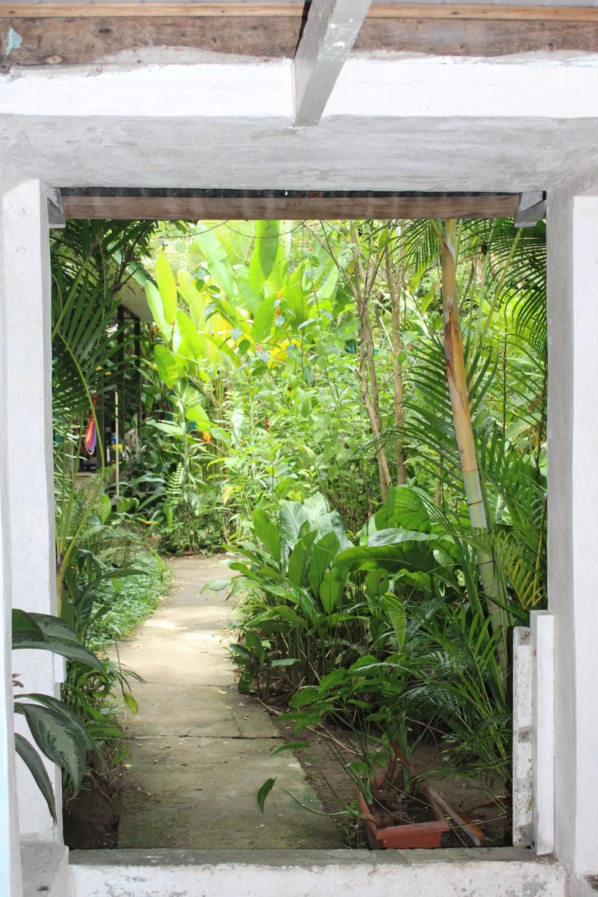 Garden in Cabinas Tortuguero
