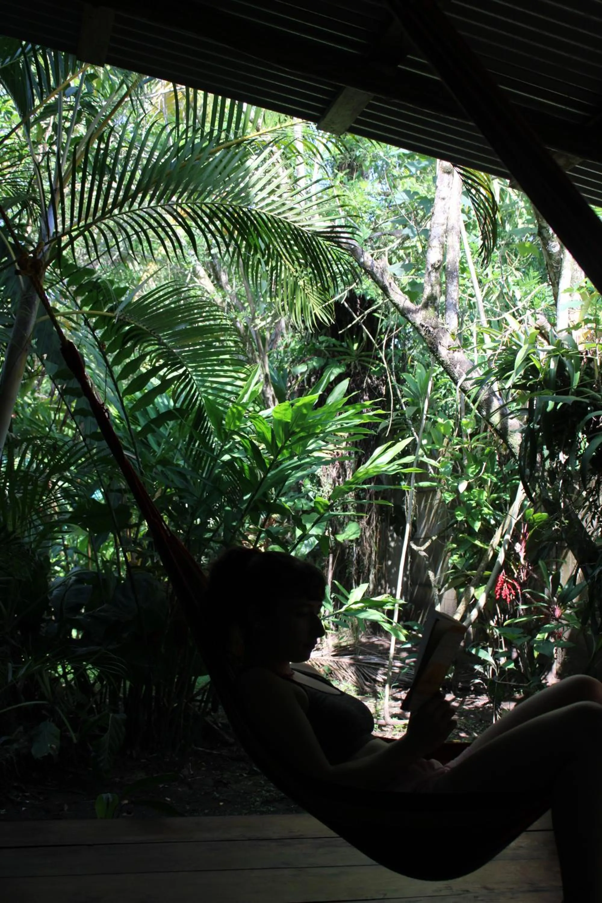 Lobby or reception in Cabinas Tortuguero