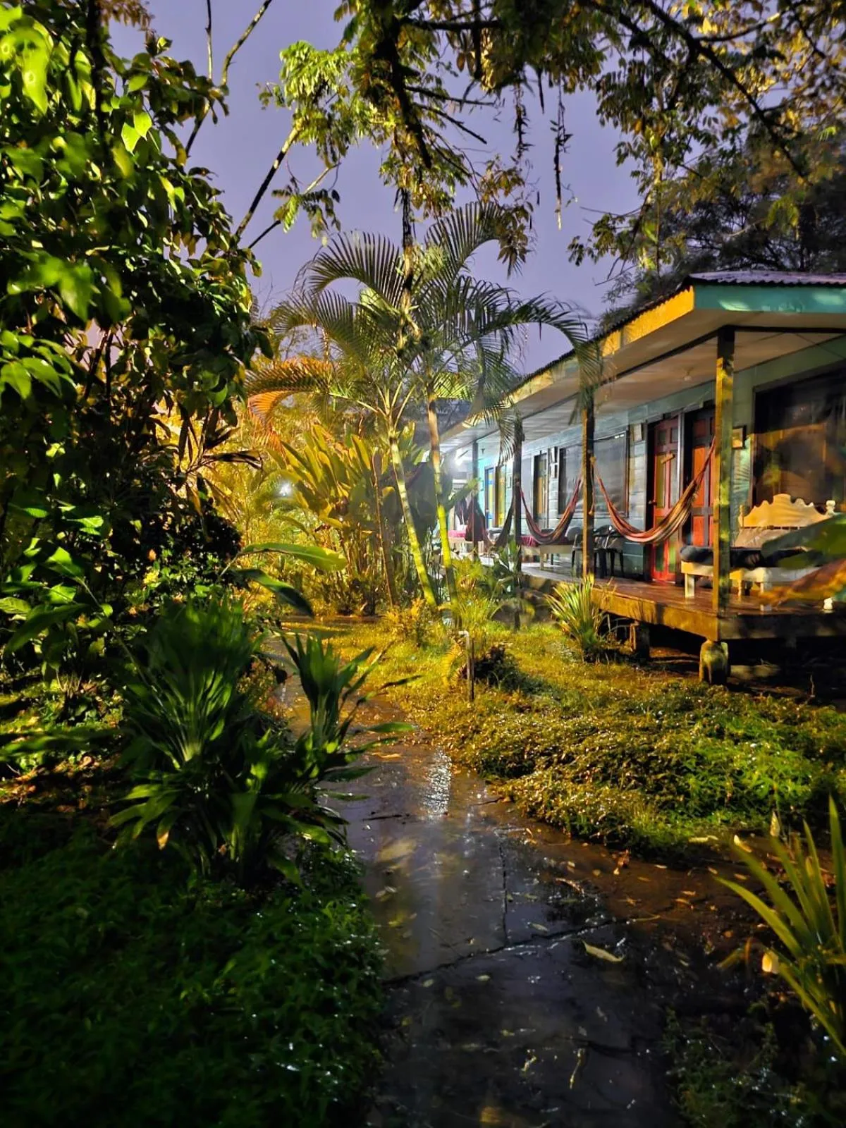 Garden in Cabinas Tortuguero