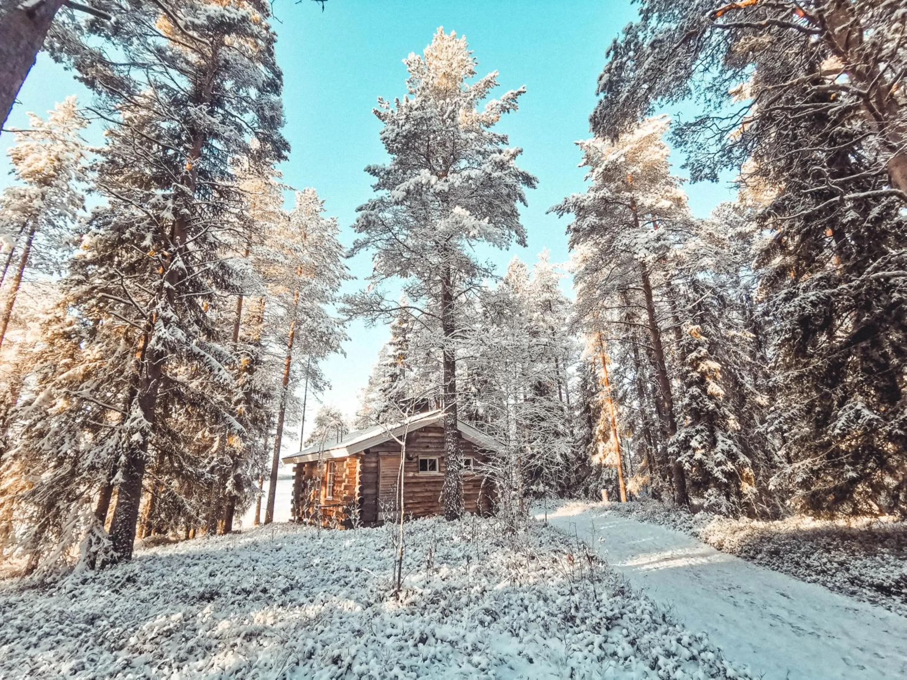 Taigaschool Eco Hotel