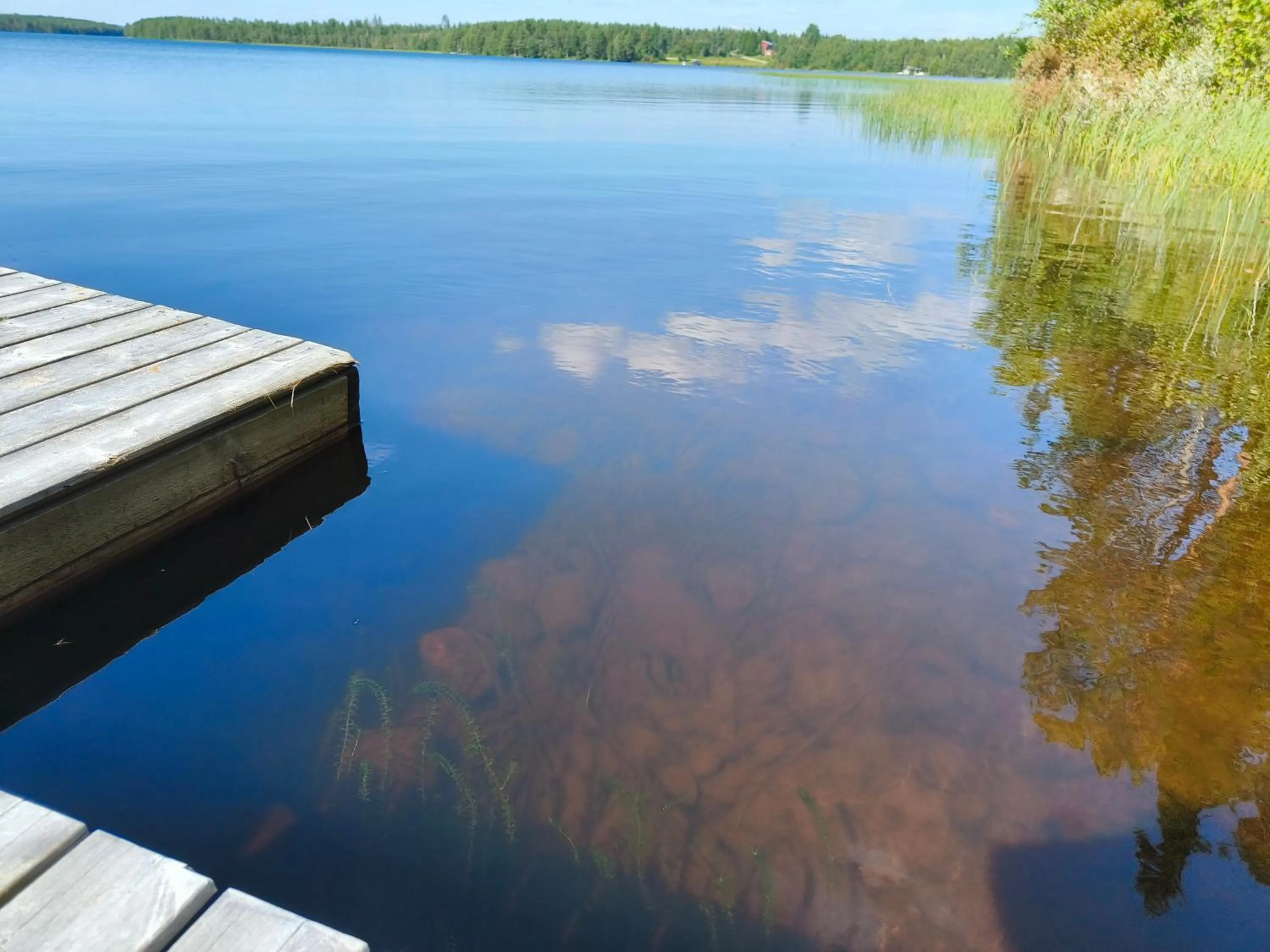 Taigaschool Eco Hotel