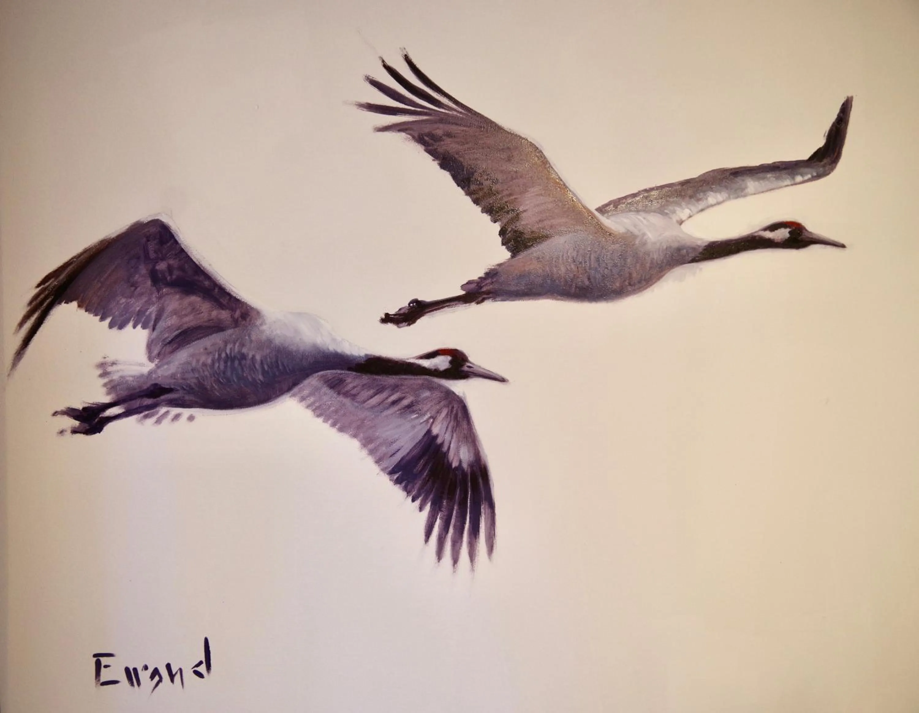 Taigaschool Eco Hotel