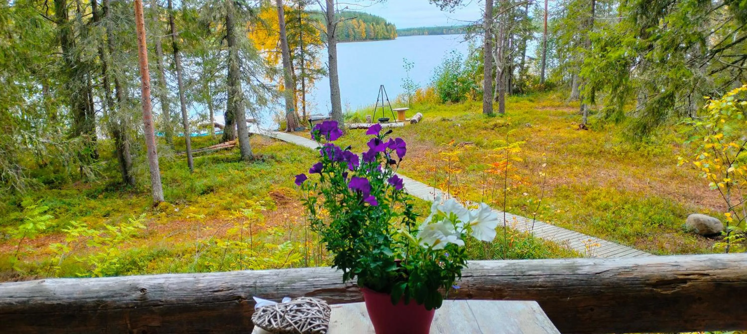 Taigaschool Eco Hotel