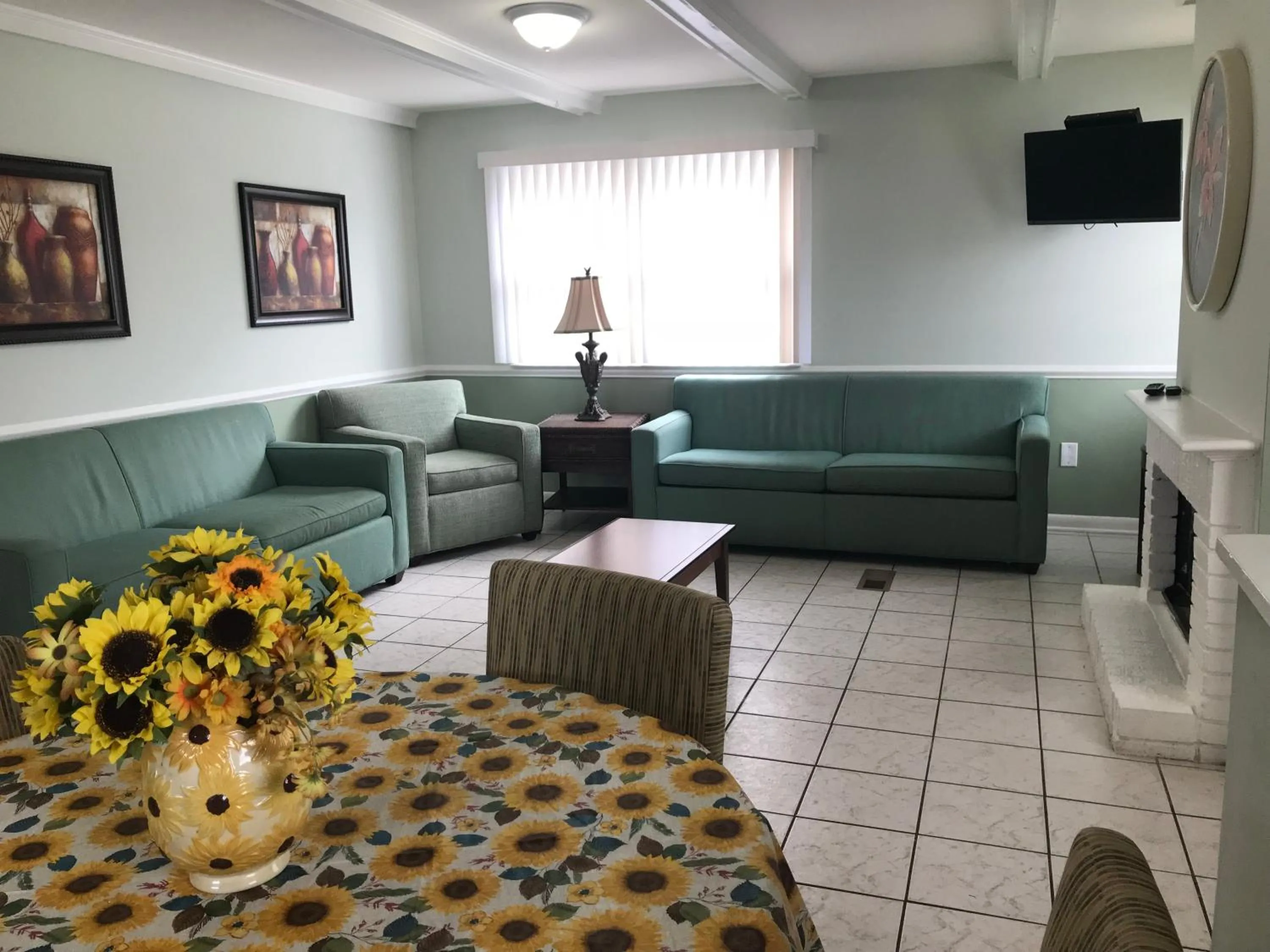 TV and multimedia in Mallard Apartments