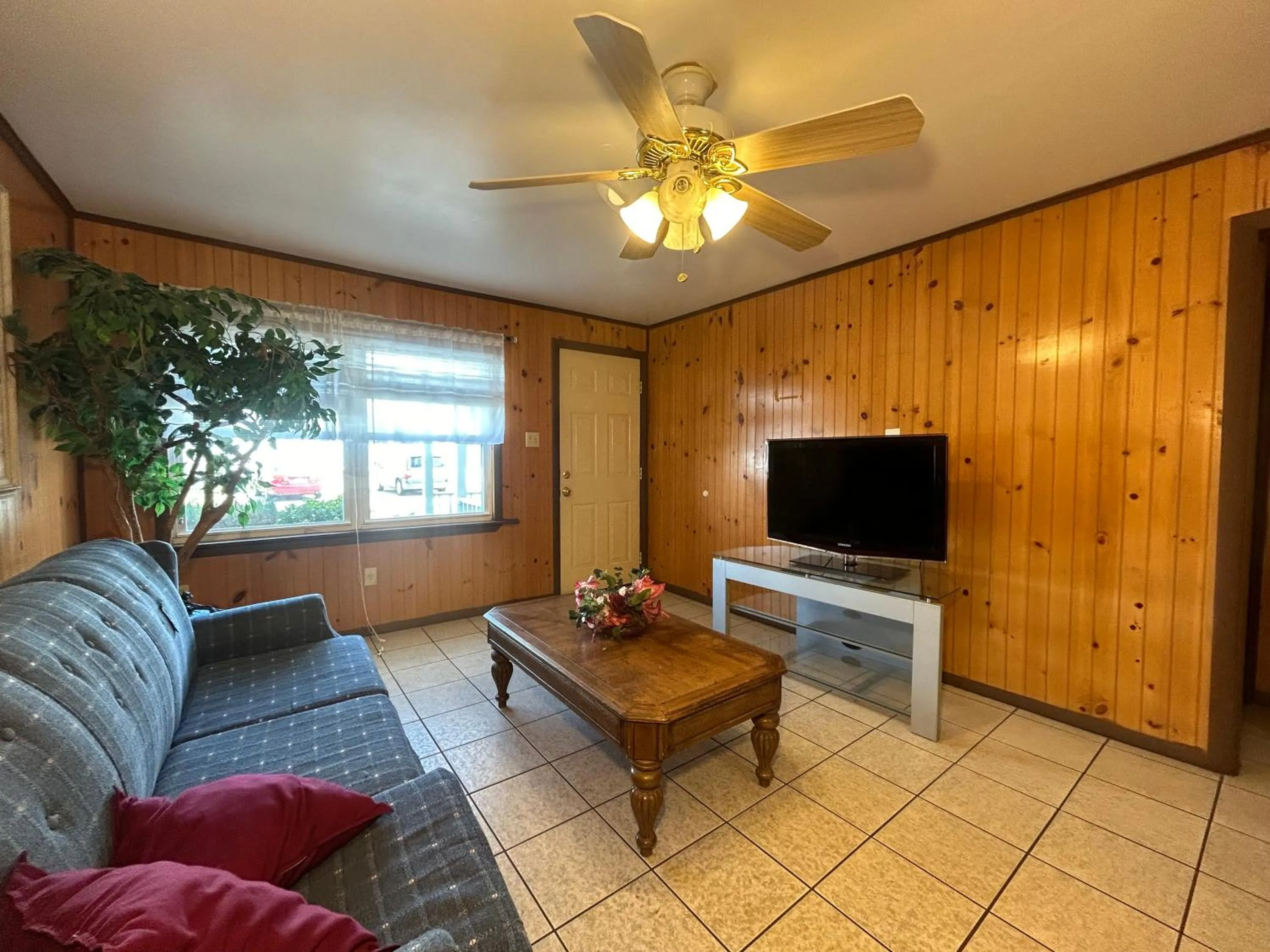 TV and multimedia in Wilmington Terrace