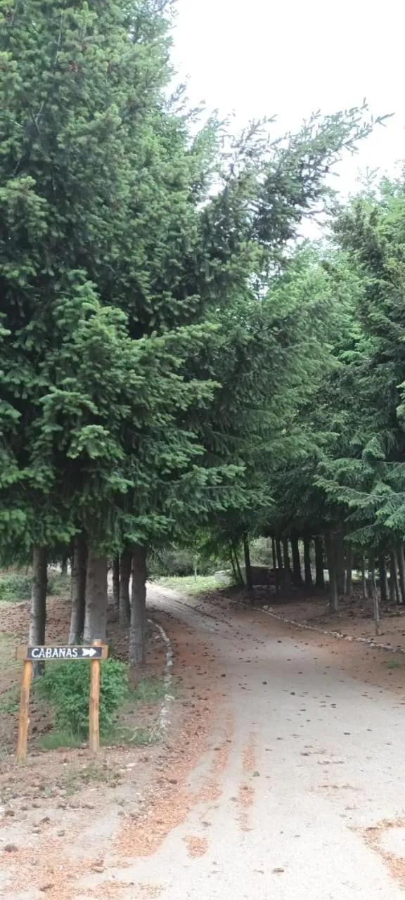Natural landscape in Complejo Puerto Malén Club de Montaña