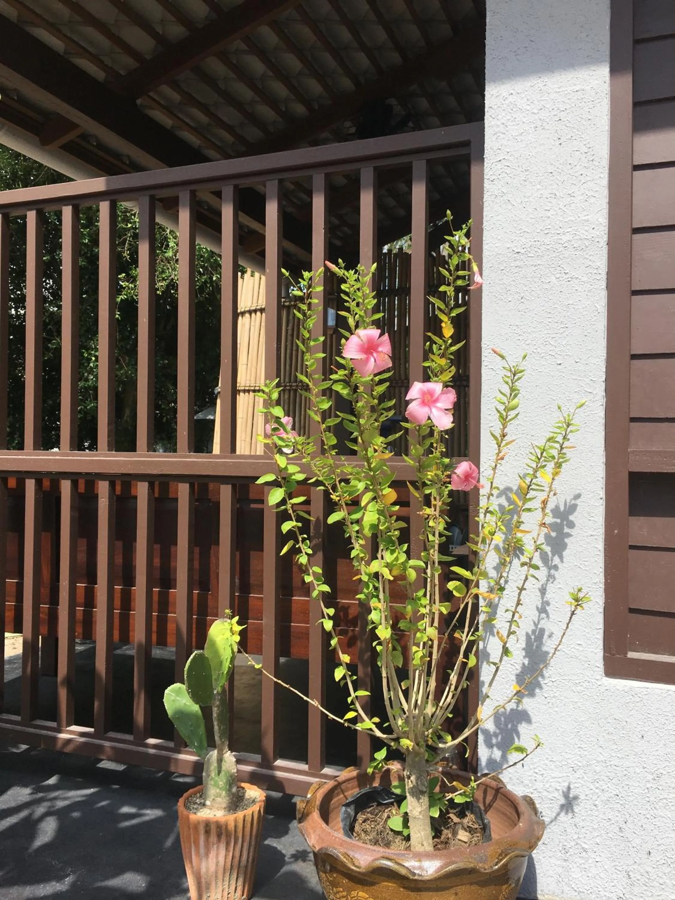 Balcony/Terrace in Jasmine & Tea House