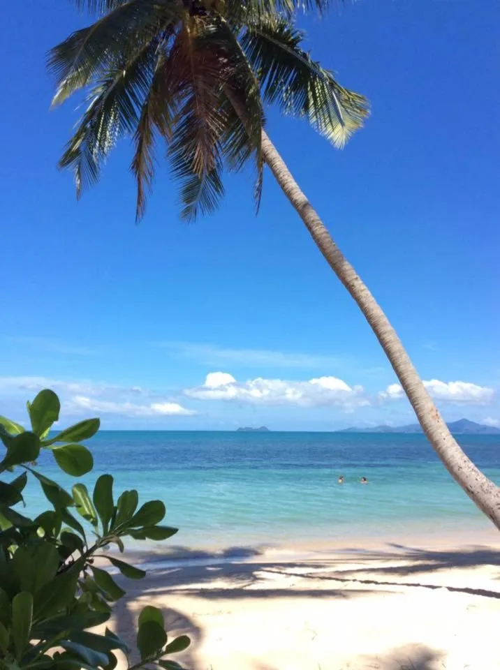 Natural landscape in Jasmine & Tea House