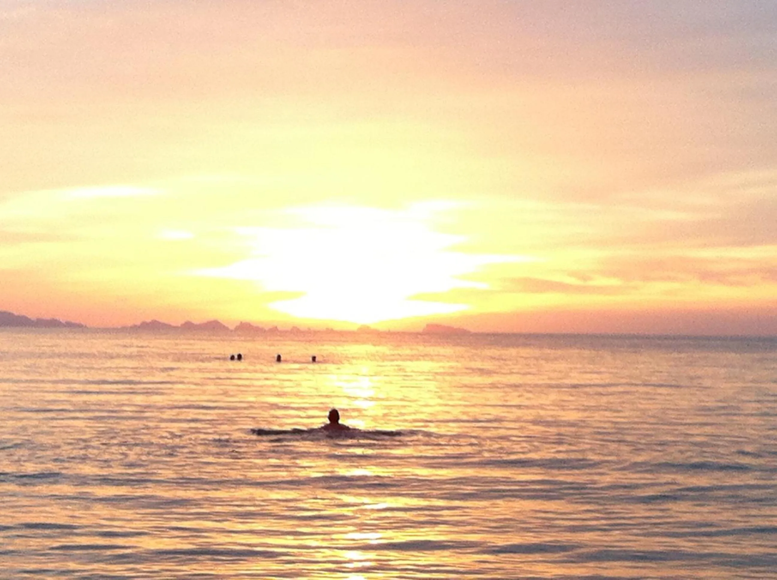 Natural landscape in Jasmine & Tea House