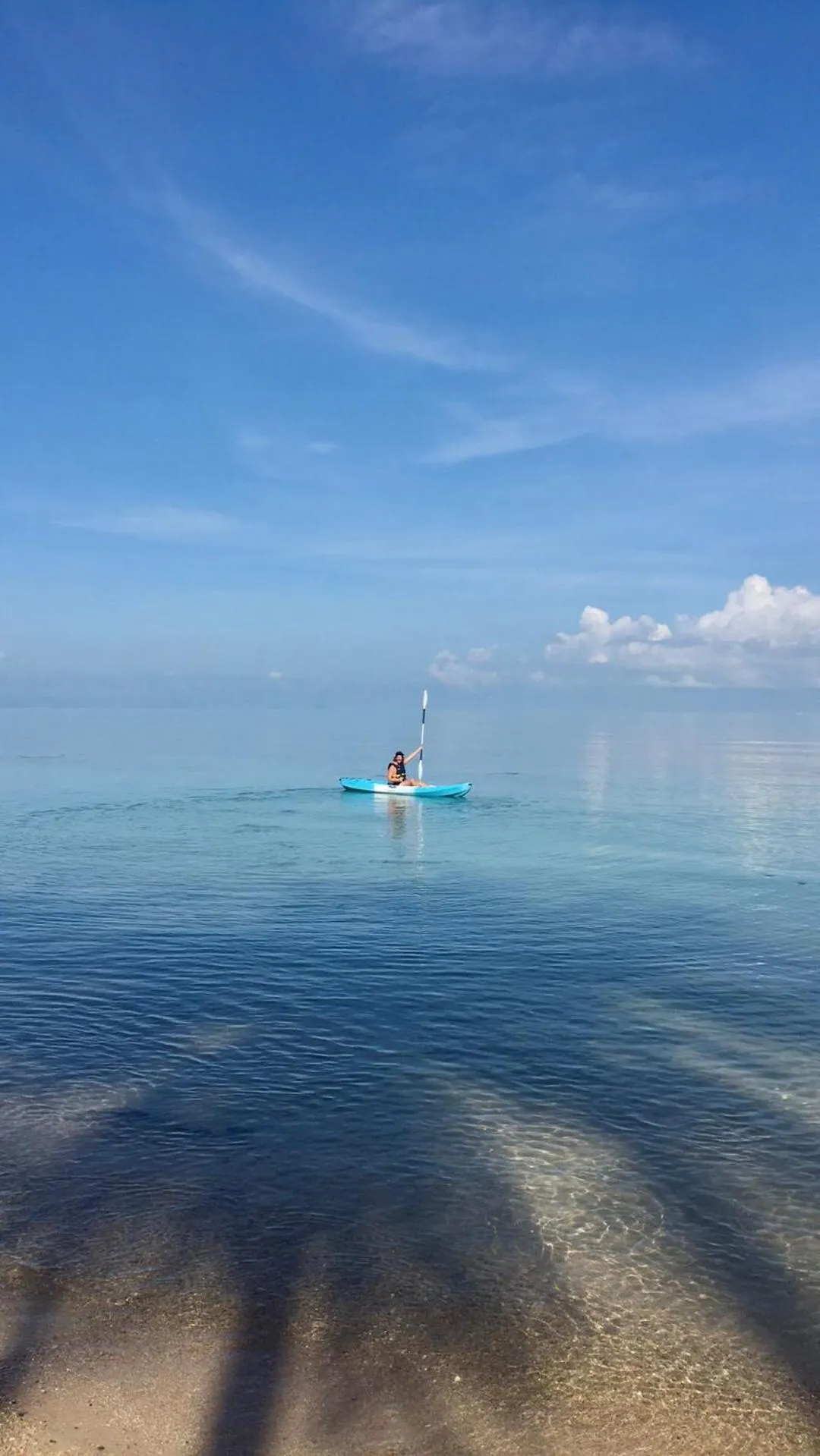 Activities in Jasmine & Tea House