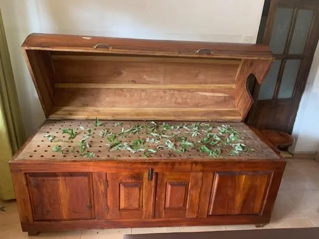 Spa and wellness centre/facilities in Hotel Mango Garden