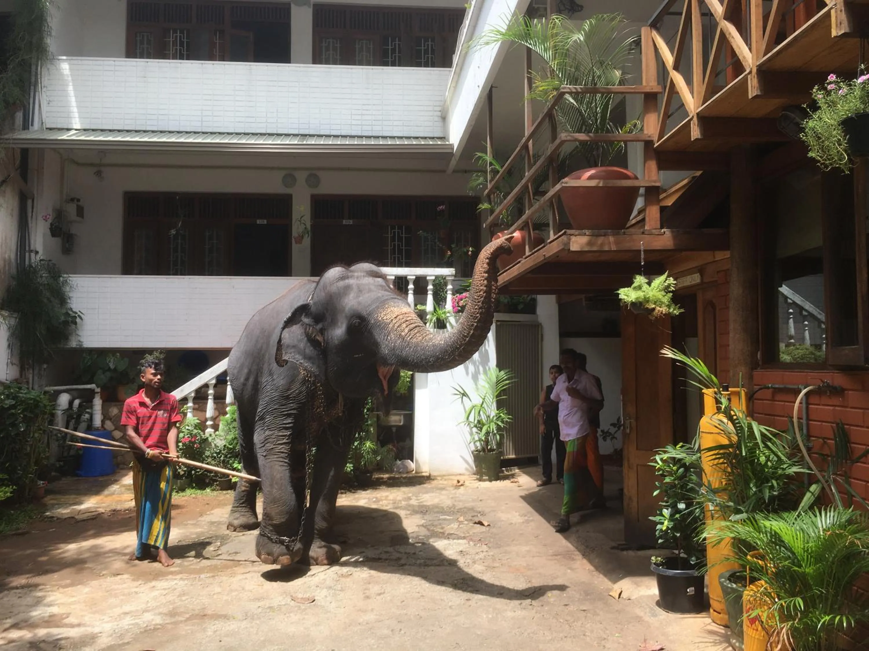 Property building in Hotel Mango Garden