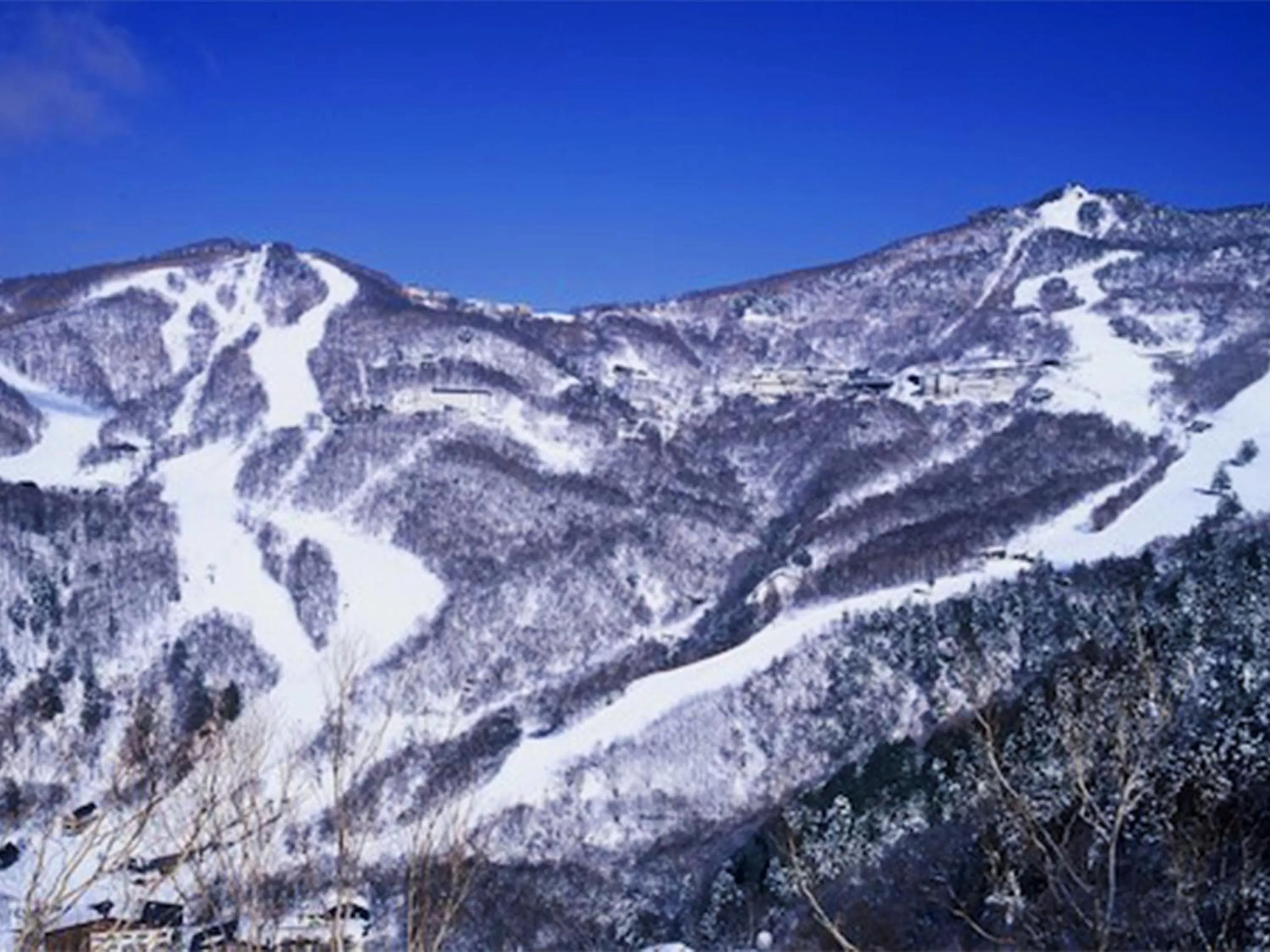 Off site in Shiga Swiss Inn